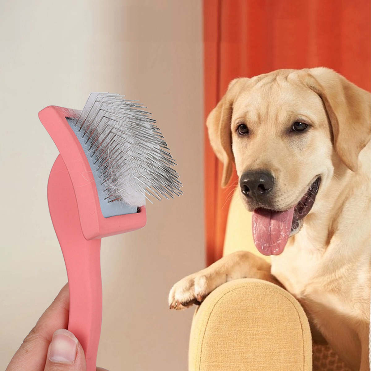 Eine rosa Haustierbürste wird vor einem Golden Retriever gehalten. Der Hund hechelt und sitzt auf einem gelben Stuhl.