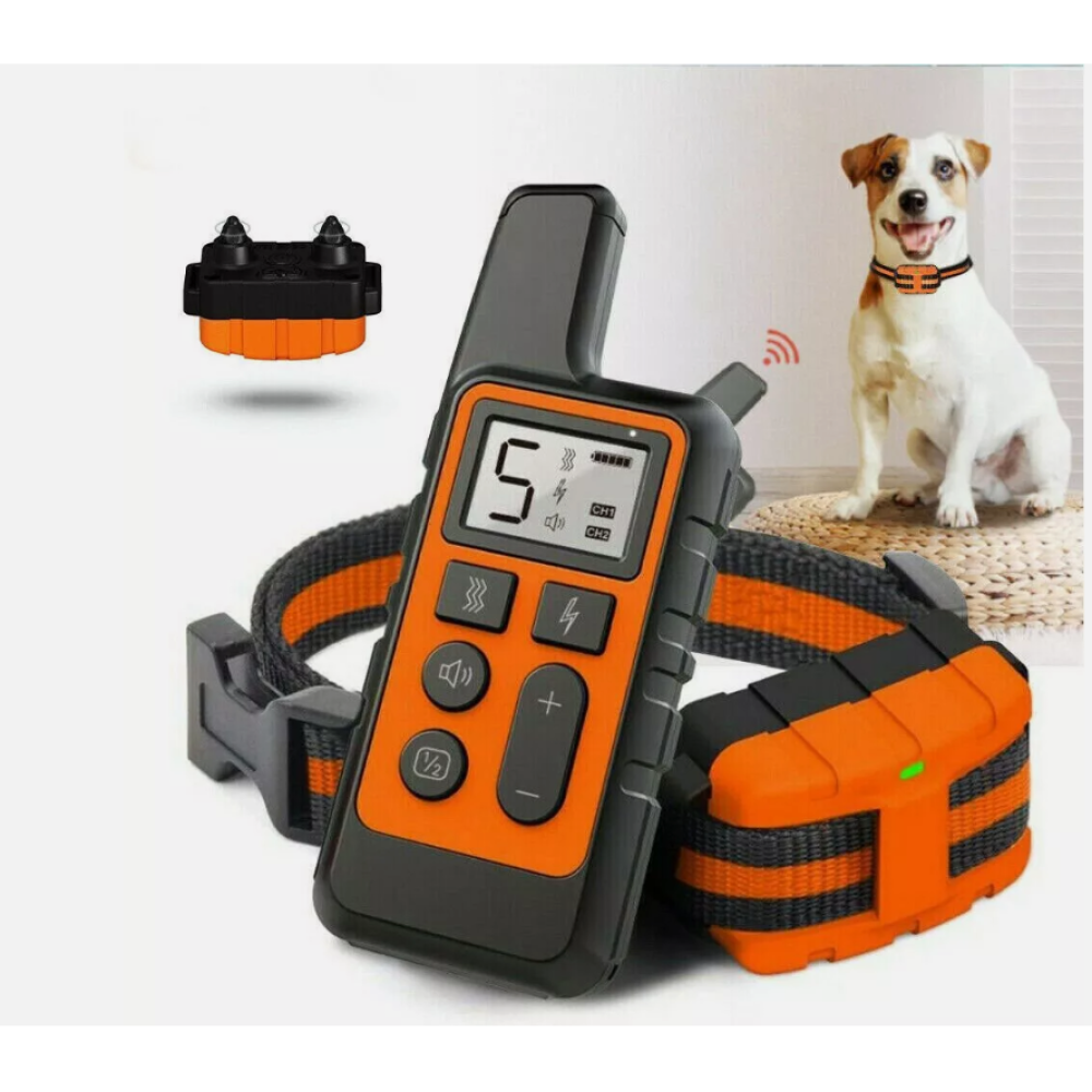 Hundetrainingshalsband mit Fernbedienung, Halsband und Hund im Hintergrund. Die Fernbedienung zeigt die Zahl 5 an.