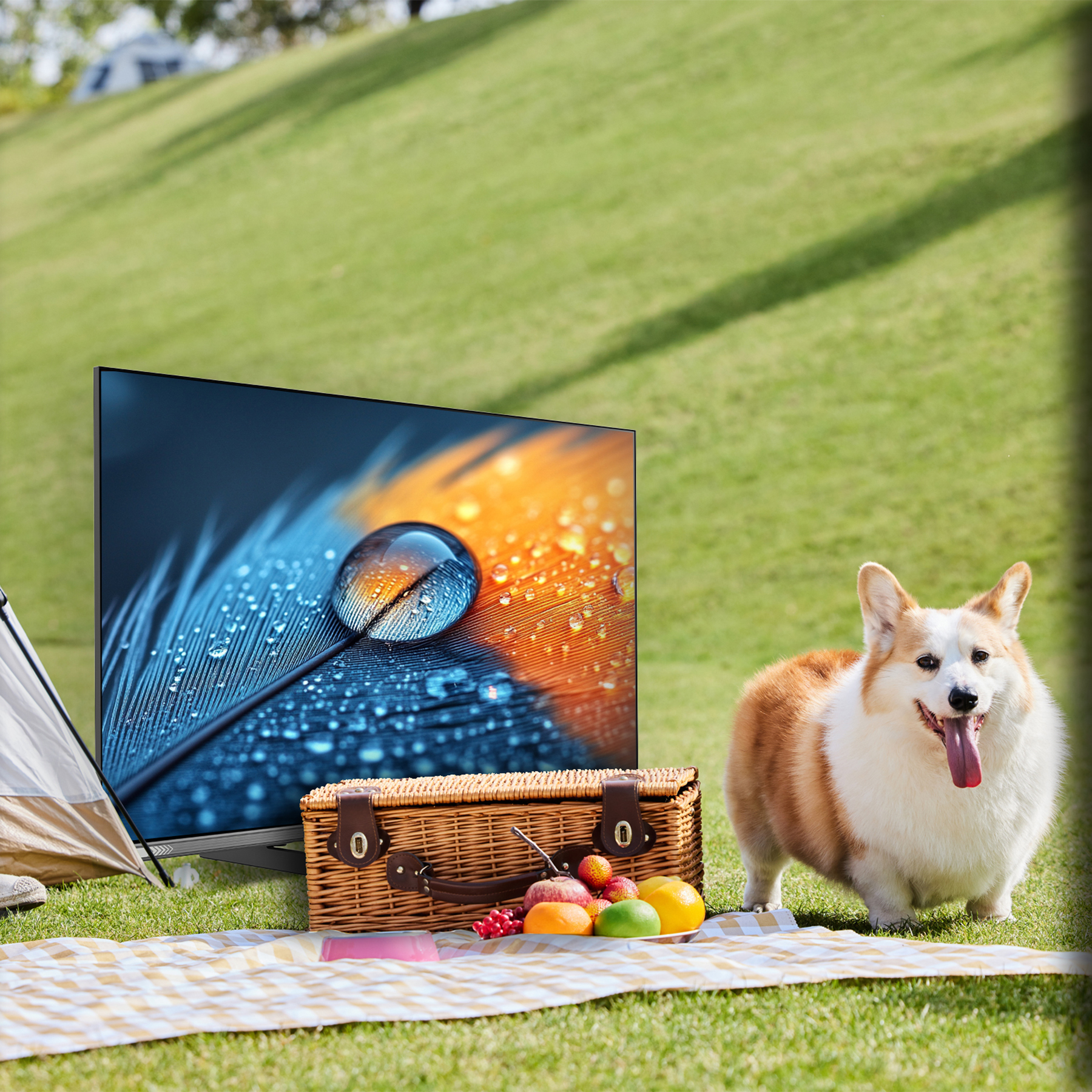 Ein Hund mit herausgestreckter Zunge neben einem Picknick auf dem Rasen. Ein Fernseher zeigt eine Nahaufnahme einer Feder. Ein Zelt ist in der Nähe.