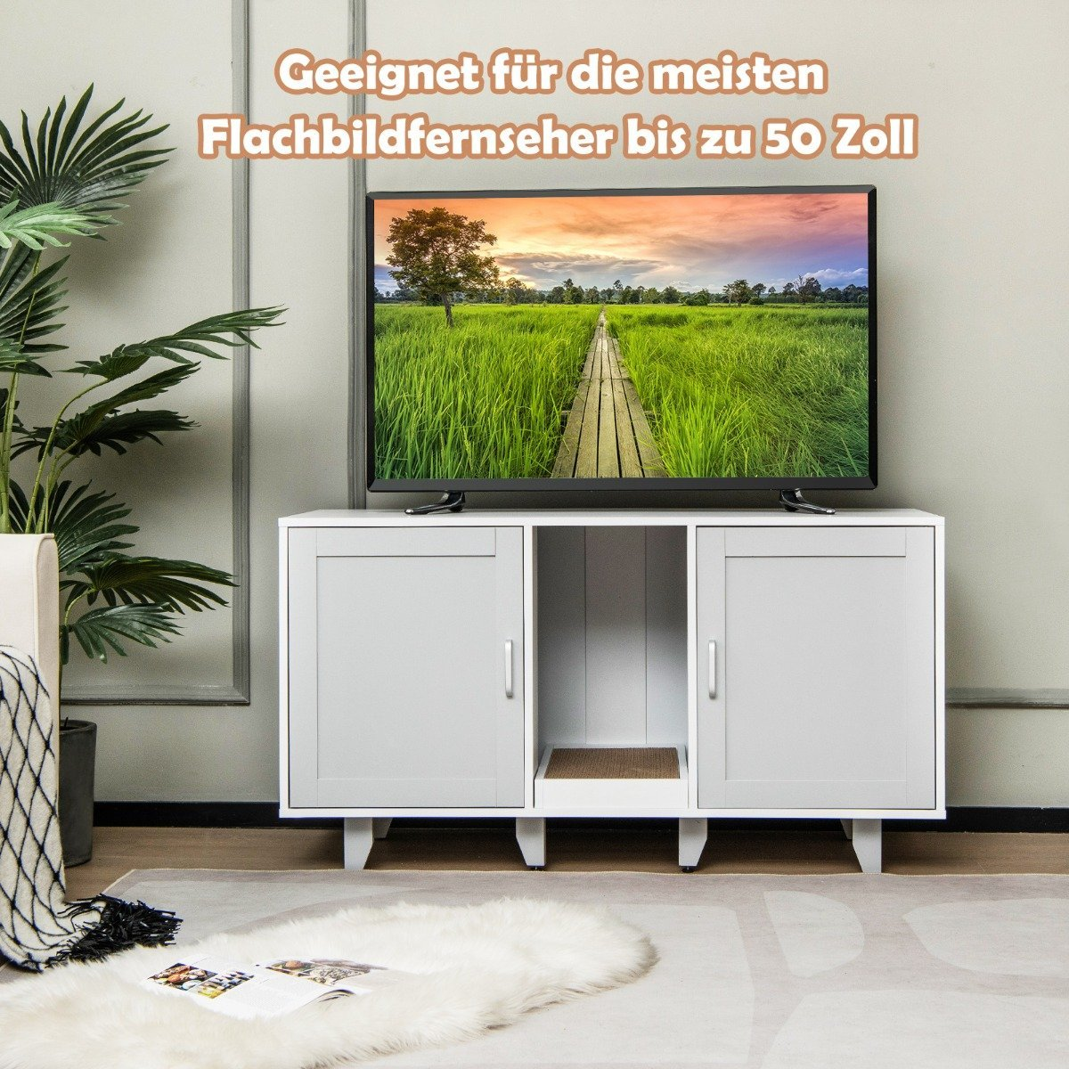 Un televisor sobre un mueble blanco con puertas, una alfombra, una planta y una pared. El televisor muestra un paisaje.