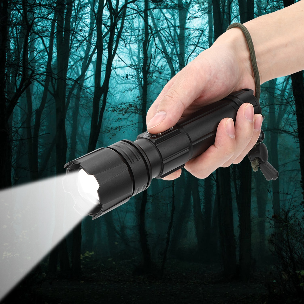 Eine Hand hält eine schwarze Taschenlampe, die einen weißen Strahl beleuchtet. Der Hintergrund ist eine dunkle Waldszene mit hohen, kahlen Bäumen.