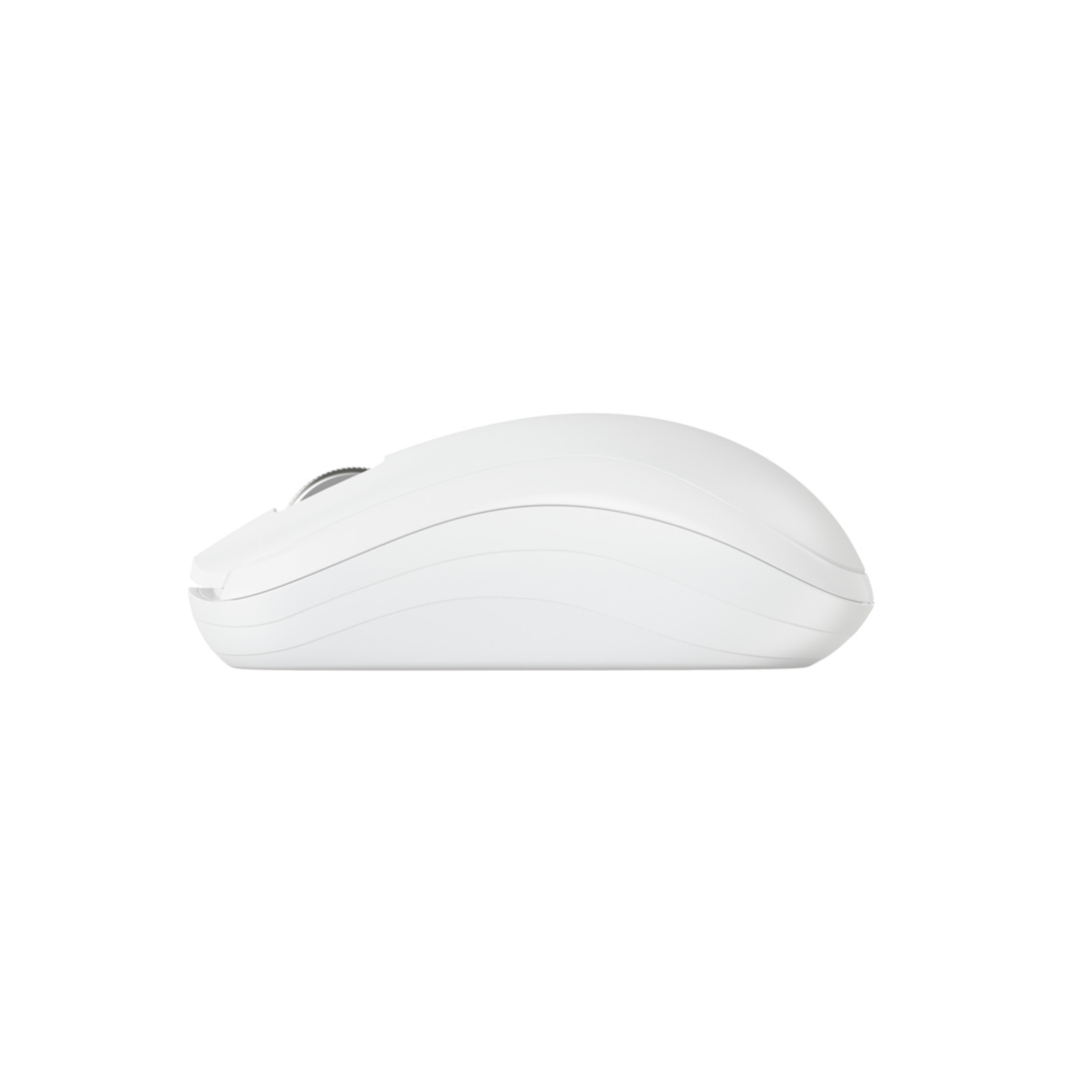 Een witte computermuis wordt in profiel getoond. Het staat op een witte achtergrond.