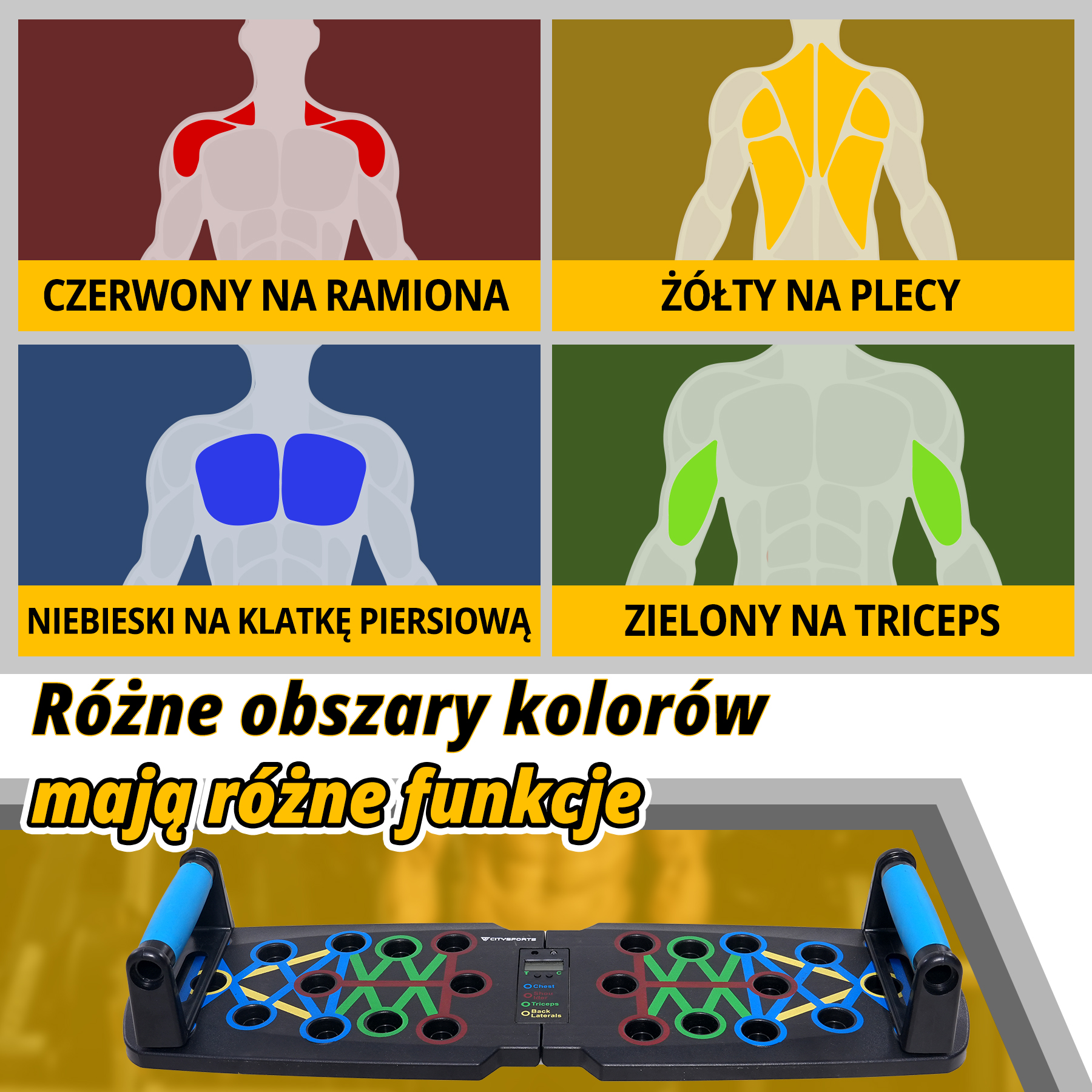 Obraz przedstawia grupy mięśni: ramiona (czerwone), plecy (żółte), klatka piersiowa (niebieska), triceps (zielony) i deskę do pompek.