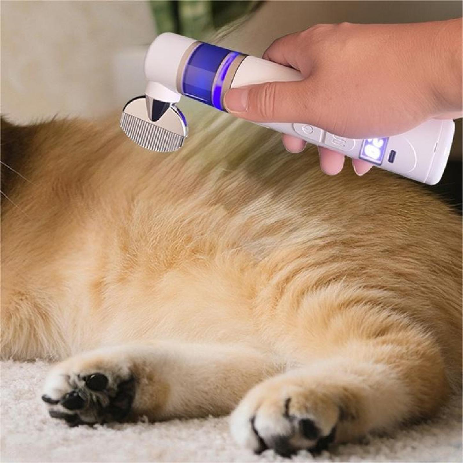 Eine Person benutzt ein weißes Fellpflegegerät an einer hellbraunen Katze, die auf einem weißen Teppich liegt.