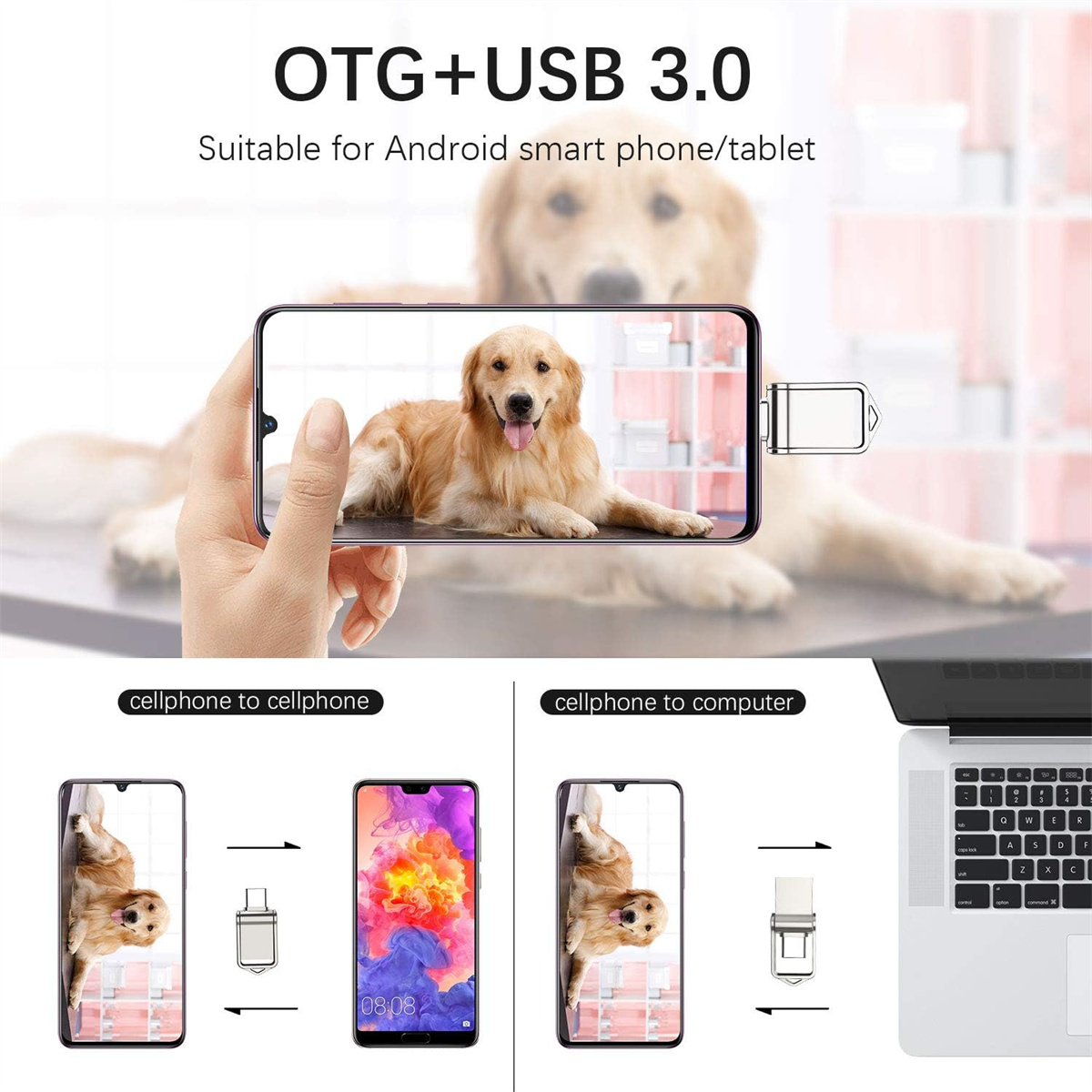 Hand hält Telefon mit Hundebild. USB-OTG-Adapter angeschlossen. Darunter Diagramme zum Datentransfer zwischen Telefonen und Computer.