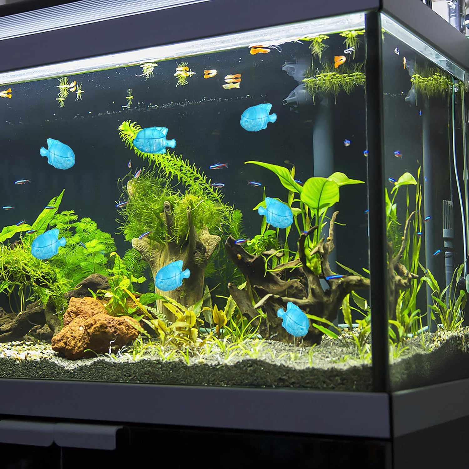 Ein Aquarium mit Wasser, Pflanzen, Fischen und blauen Plastikfischdekorationen. Es enthält Steine und Treibholz.