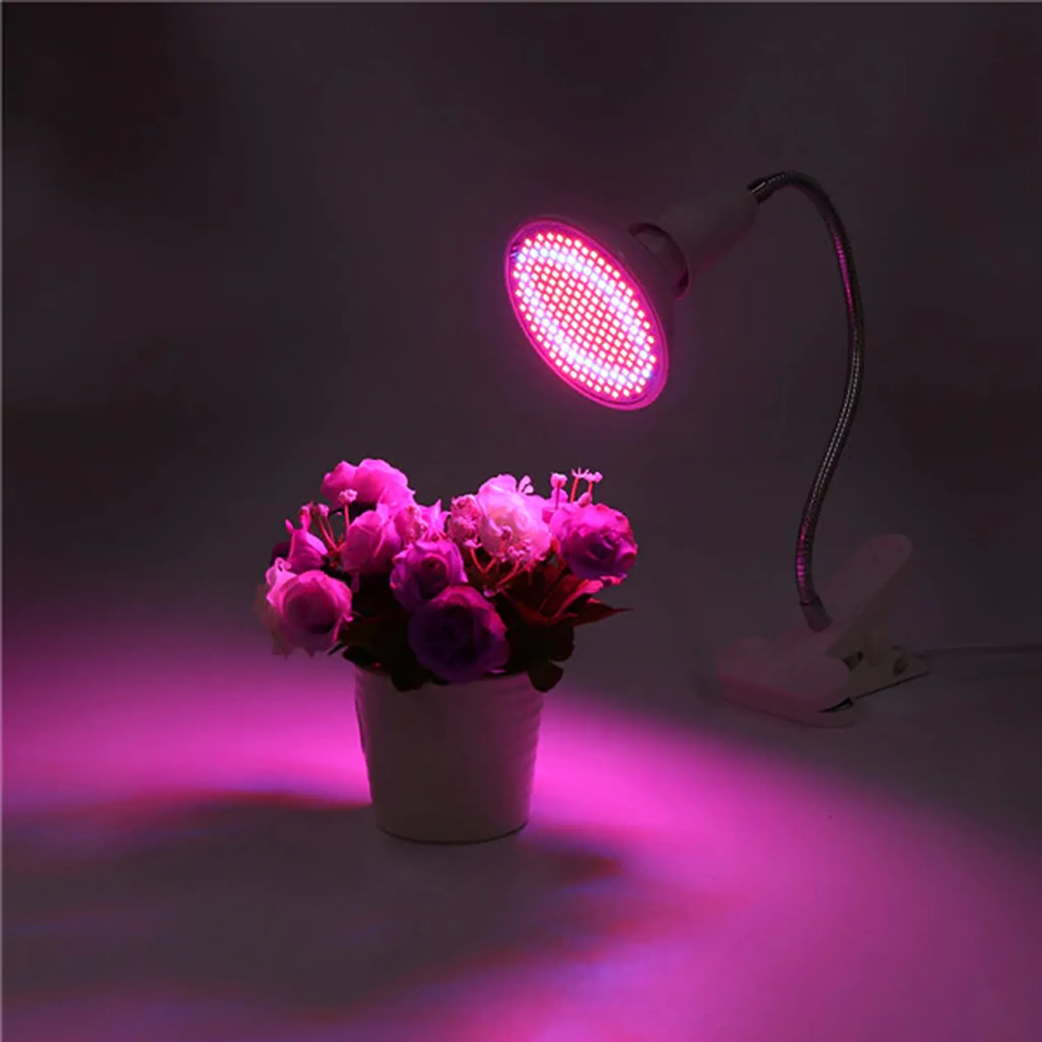 Eine rosa Pflanzenlampe beleuchtet ein Blumenarrangement in einem weißen Topf. Der Hintergrund ist dunkel.