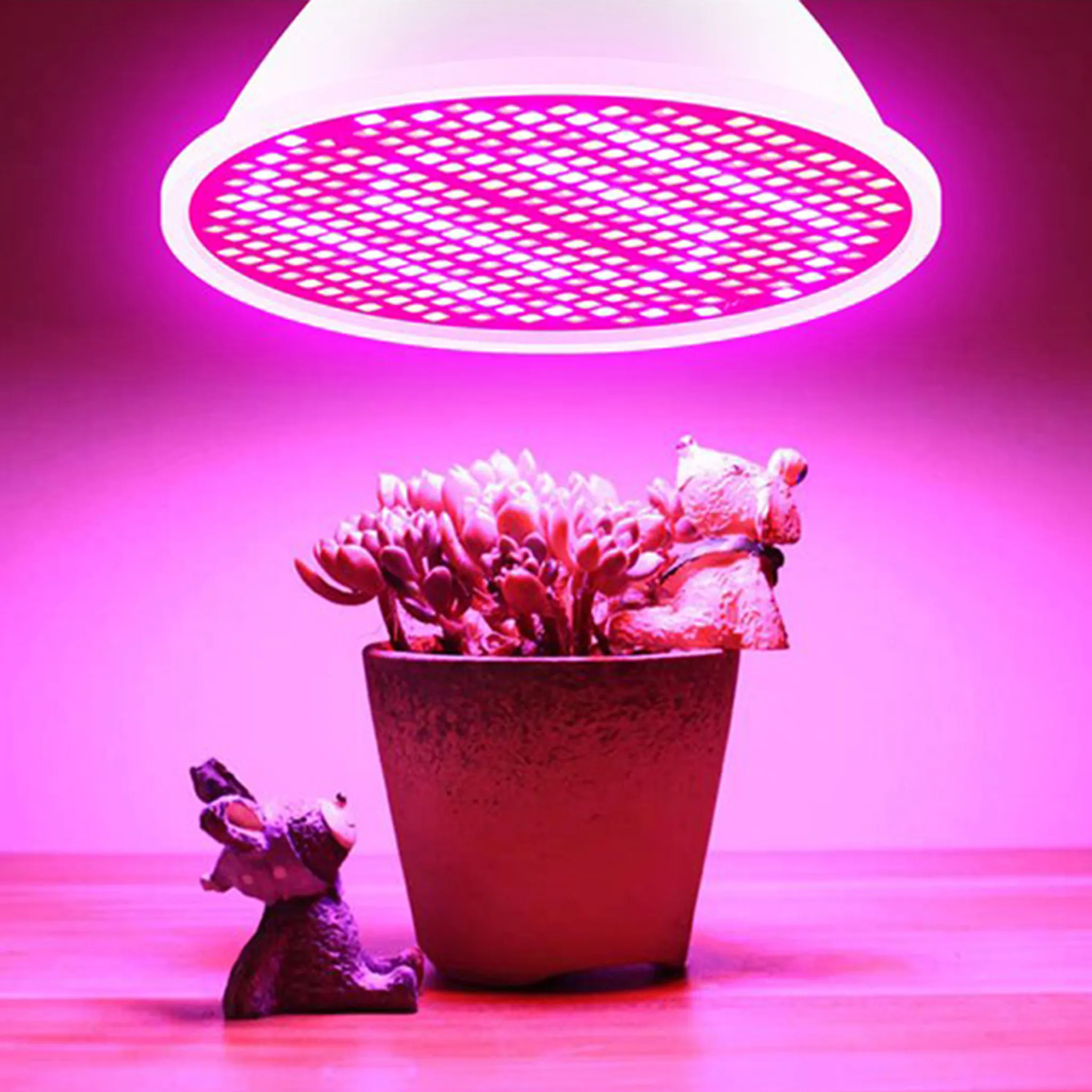 Eine Sukkulentenpflanze in einem Topf unter einer rosa Pflanzenlampe. Zwei Hunde-Figuren stehen auf dem Tisch.
