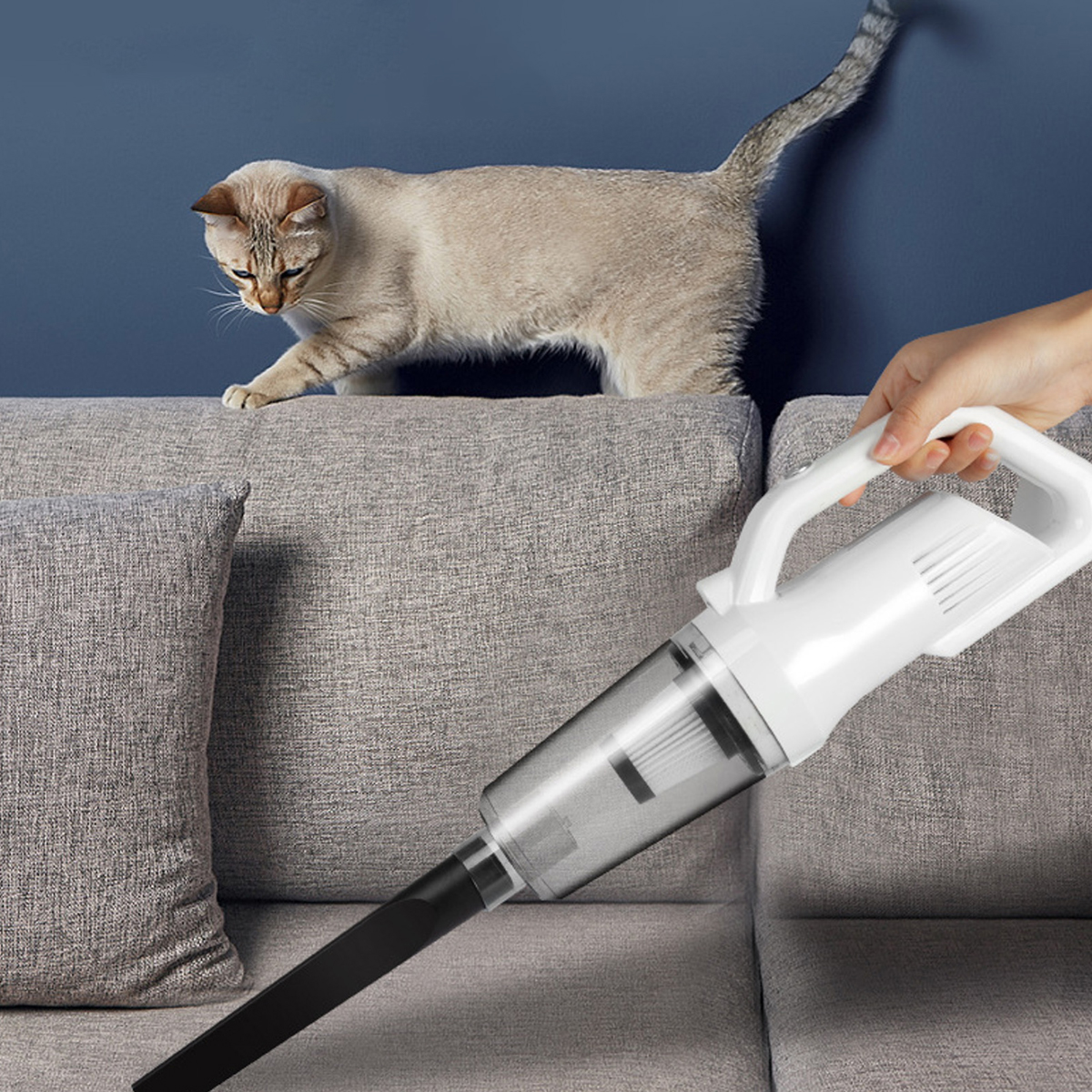 Eine Katze steht auf einem grauen Sofa, während eine Hand einen weißen Staubsauger hält, um die Couch zu reinigen. Dunkelblauer Hintergrund.