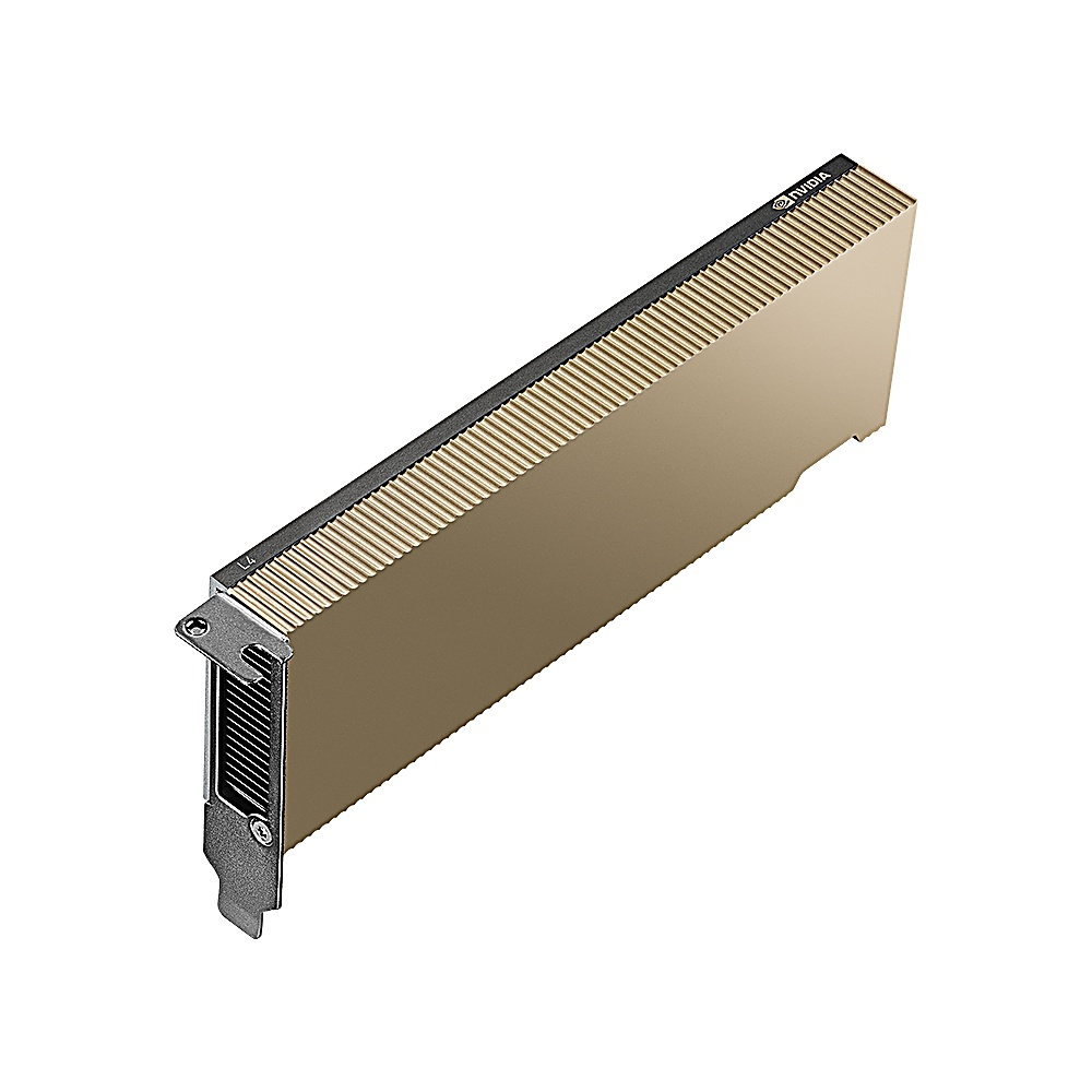 Una scheda grafica NVIDIA dorata, forma rettangolare, bordo superiore nero e staffa argentata. Il logo NVIDIA è visibile in alto.