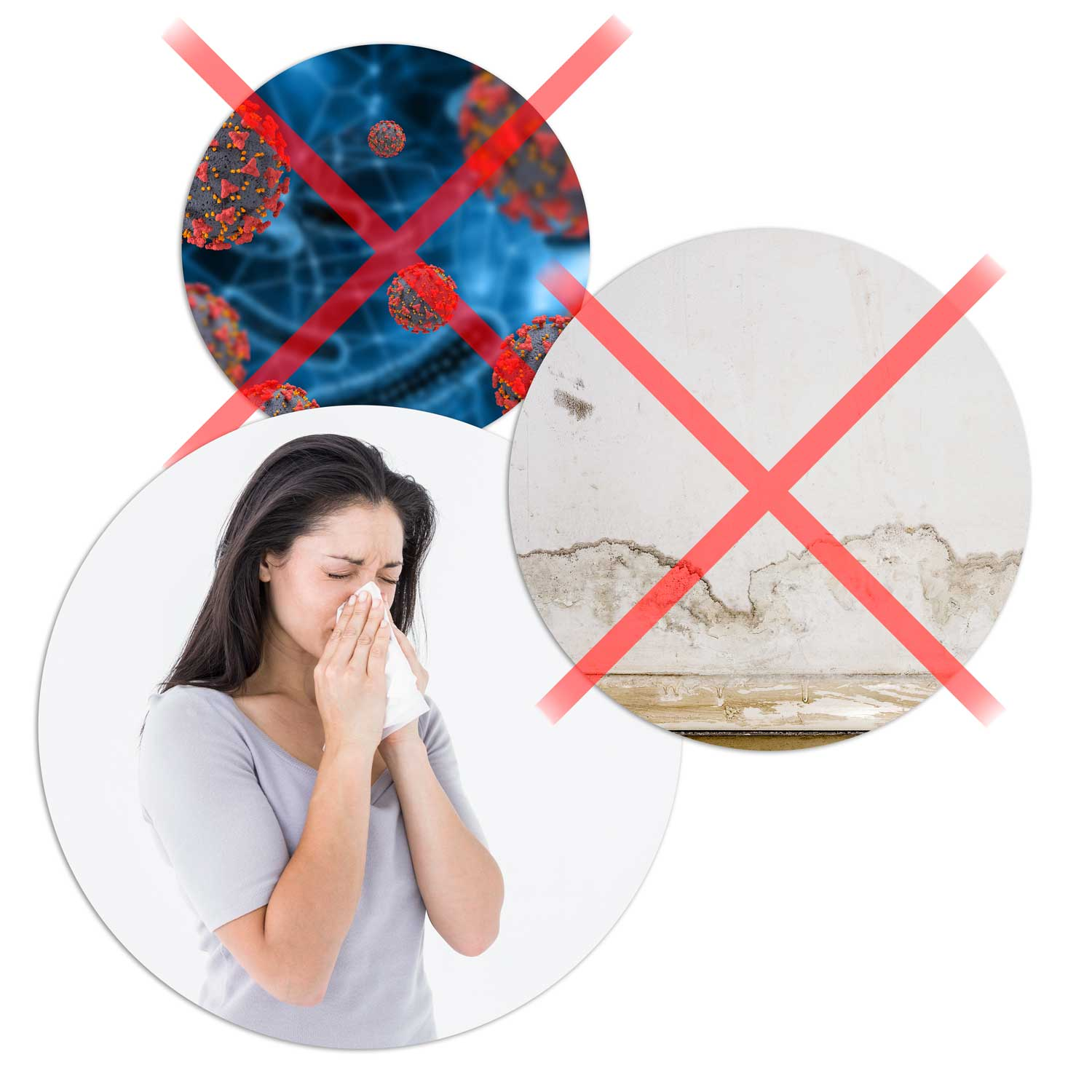 Kobieta wydmuchuje nos w chusteczkę. Obraz ma okręgi z wirusem, pleśnią i krzyżem nad nimi. Białe tło.