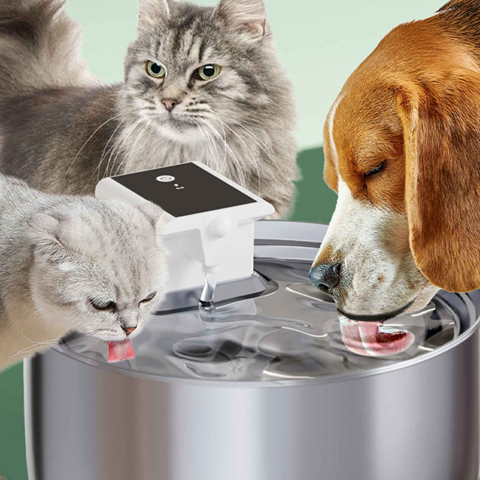 Ein Hund und zwei Katzen trinken Wasser aus einem Edelstahl-Haustierbrunnen. Die Katzen haben ihre Zungen draußen.