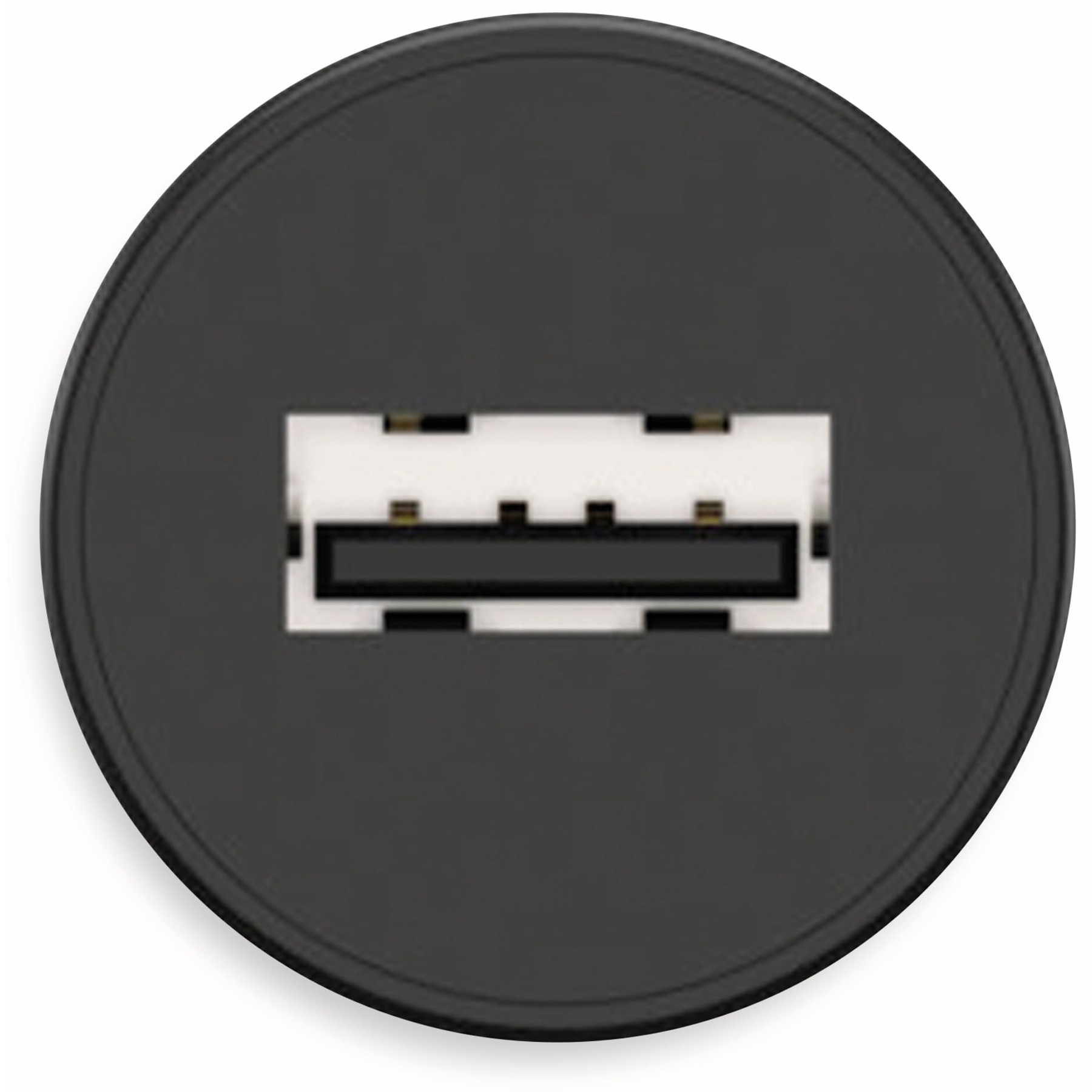 Primo piano di una porta USB in una cornice circolare nera. La porta è bianca con un'apertura rettangolare nera.