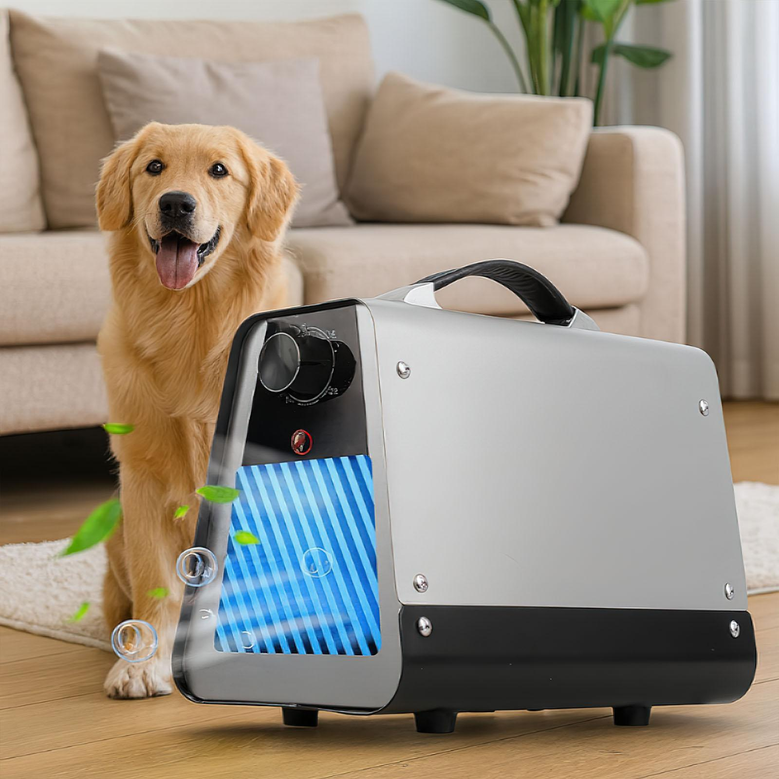 Ein Golden Retriever sitzt neben einem Luftreiniger. Der Hund hat die Zunge draußen. Im Hintergrund sind eine beige Couch und ein Teppich.