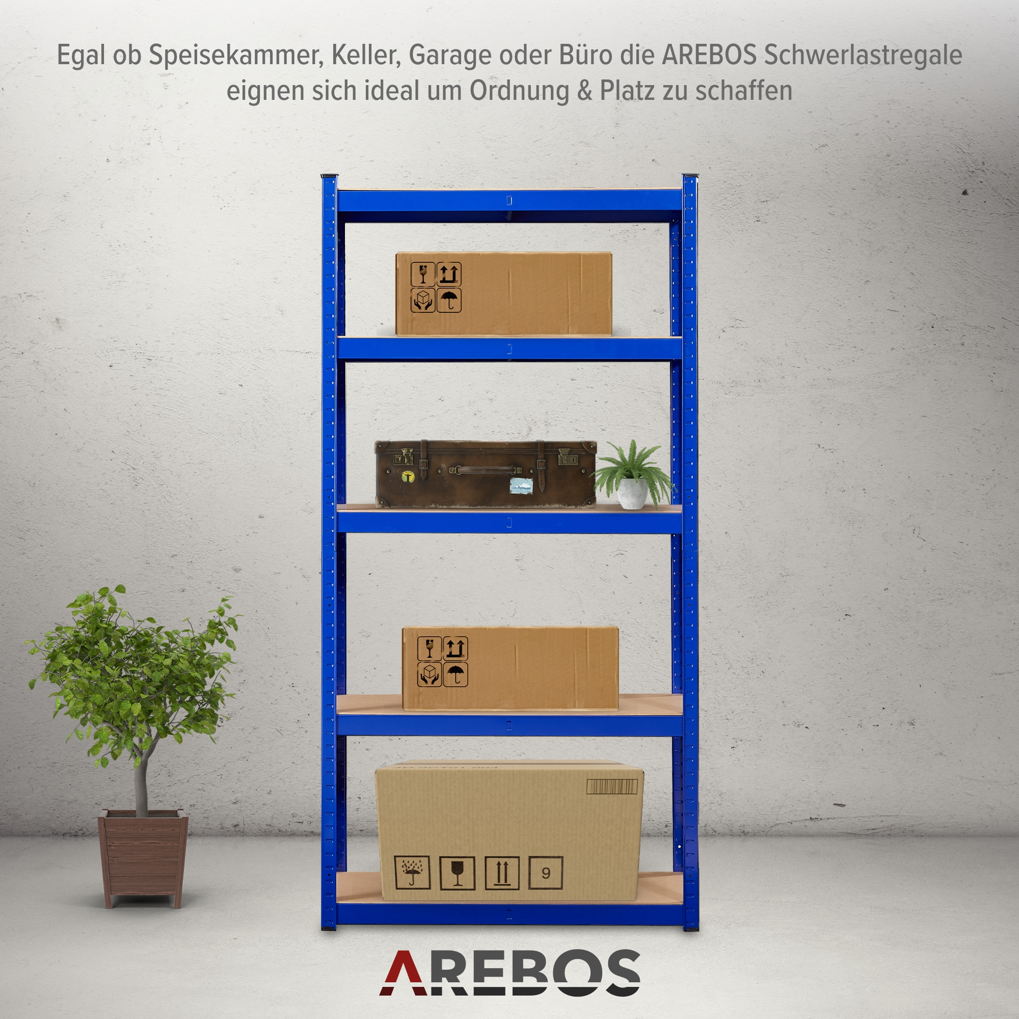 Ein blaues Metallregal mit Kartons und einem Koffer. Auf dem Regal steht eine Pflanze. Links steht ein Topfbaum.