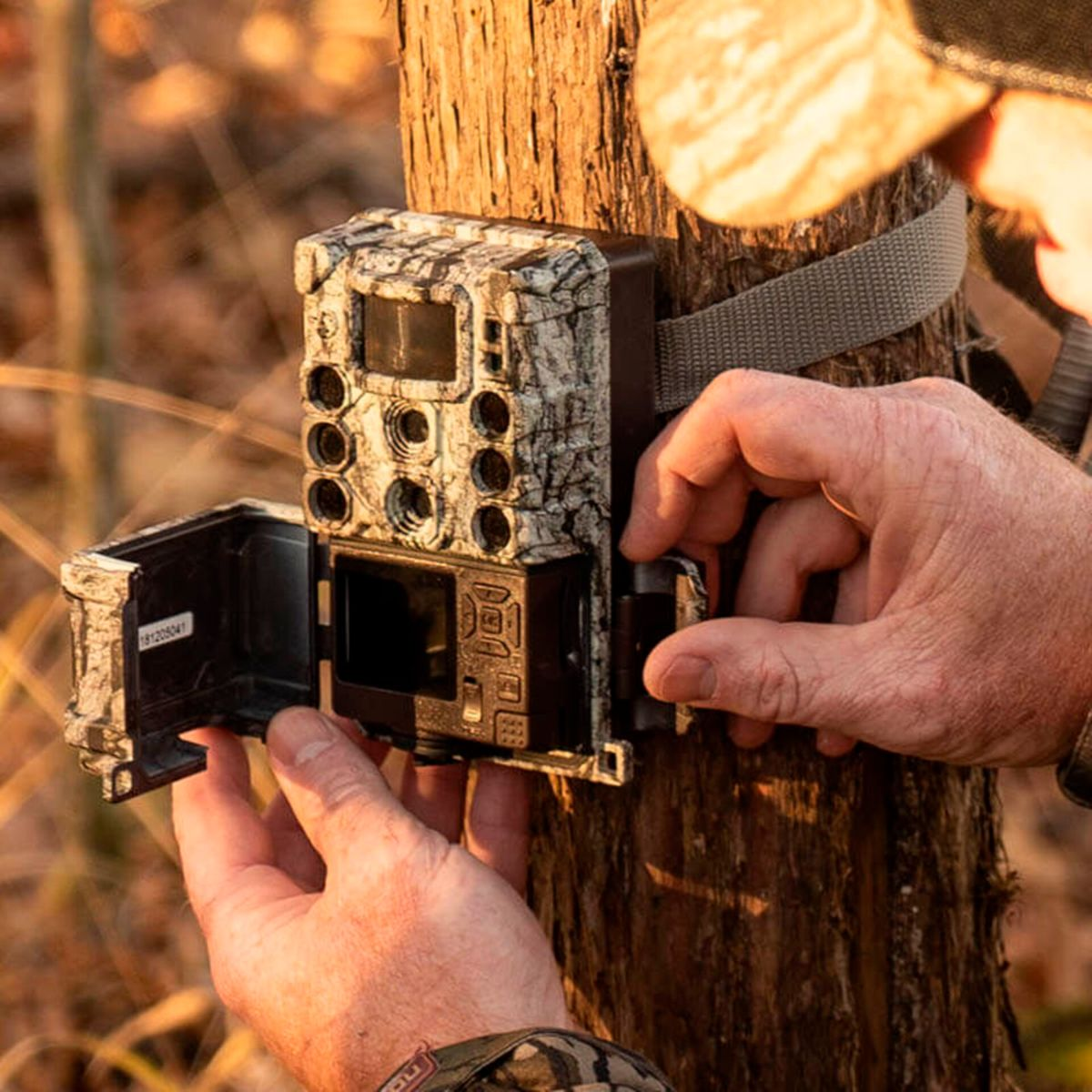 Una persona sta aprendo una fotocamera da caccia mimetica attaccata a un tronco d'albero. La fotocamera ha uno schermo e dei pulsanti. Le mani della persona sono visibili.