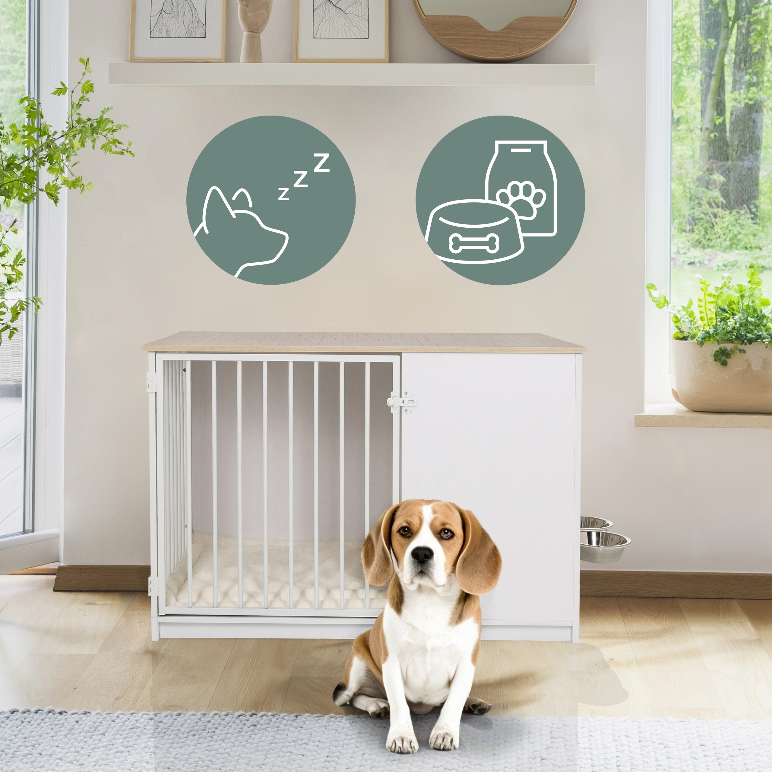 Ein Beagle sitzt vor einer Hundebox. Zwei Wand-Icons zeigen einen schlafenden Hund und Hundefutter. Im Hintergrund ist ein Fenster.