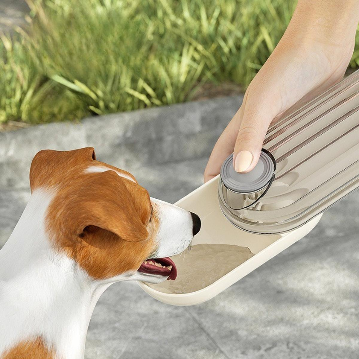 Ein Hund trinkt Wasser aus einem Behälter, der von einer Person gehalten wird. Der Hund ist braun und weiß. Der Behälter ist beige und klar.