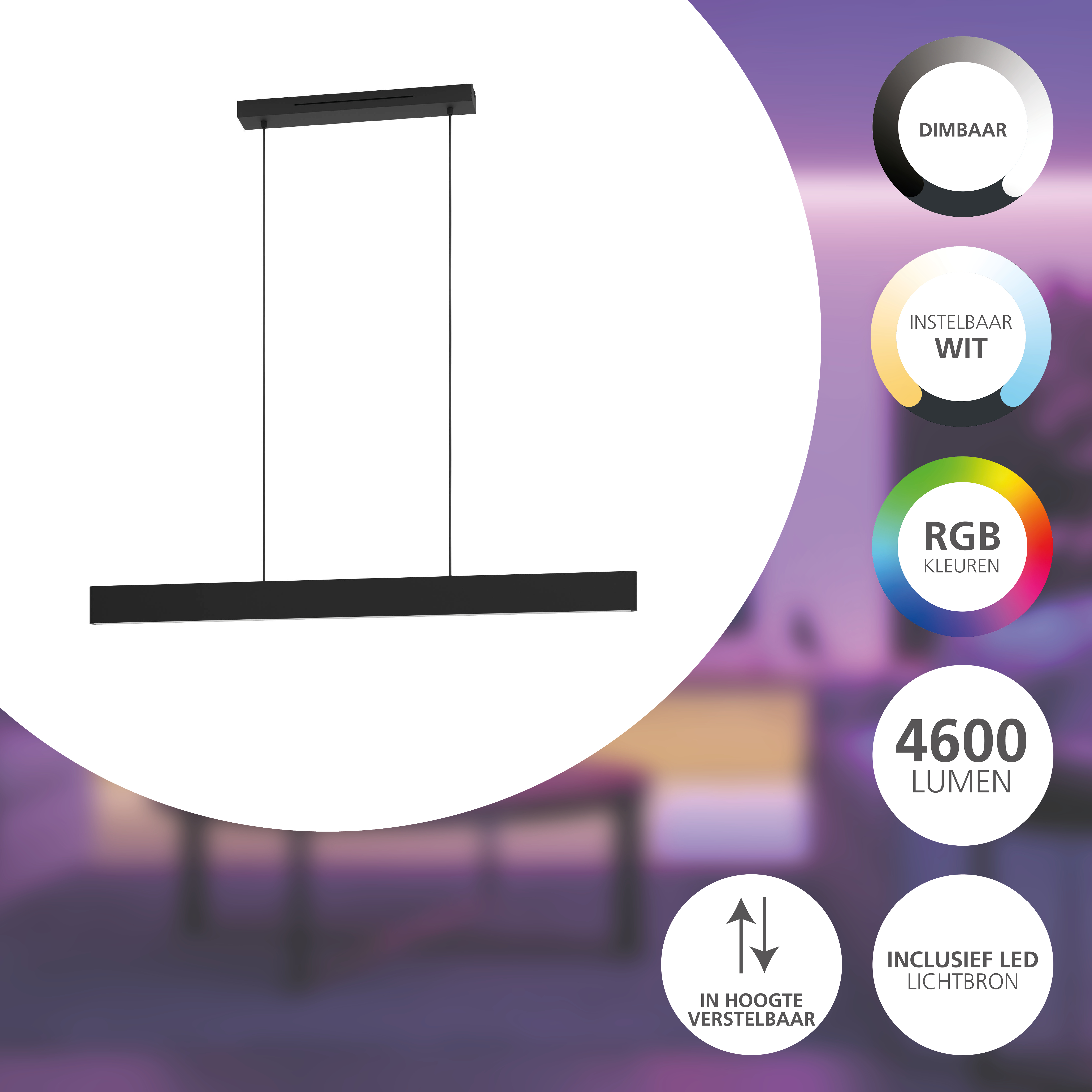 Lampe suspendue noire avec base rectangulaire et deux fils de support. Caractéristiques : variateur et hauteur réglable.