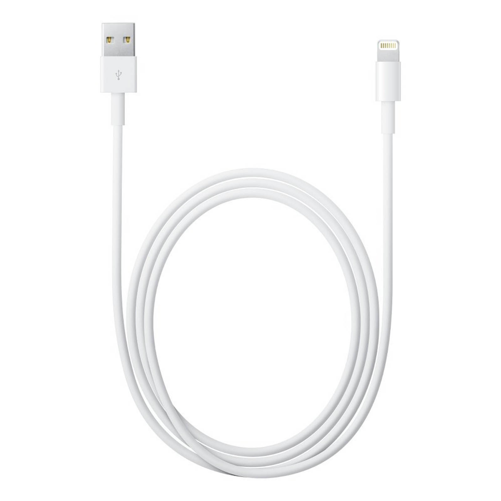 Un cavo bianco da USB a Lightning su sfondo bianco. Il cavo è arrotolato, mostrando entrambi i connettori.