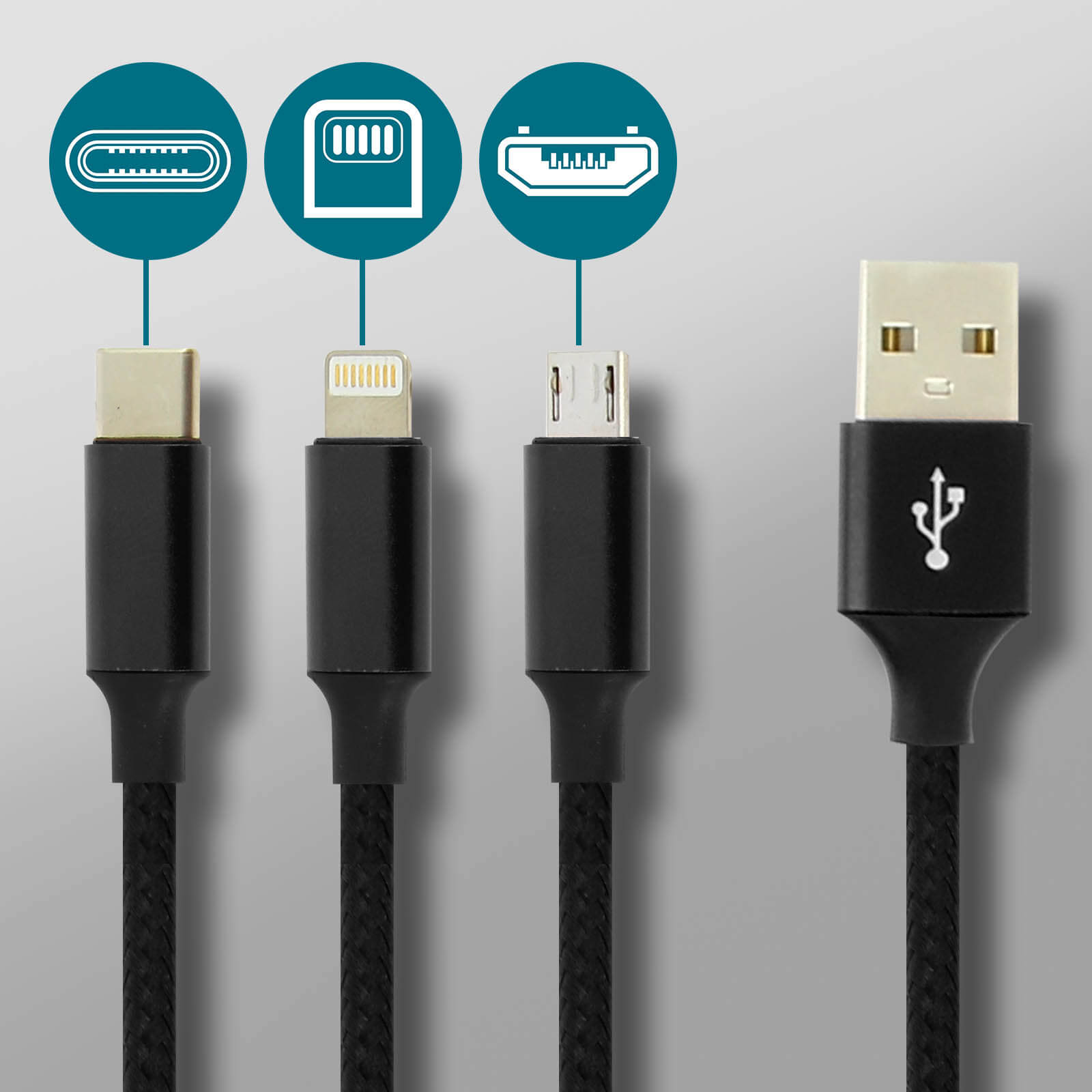 Immagine di quattro cavi di ricarica: USB-C, Lightning, Micro-USB e USB-A. Ognuno ha un cavo nero e un connettore.