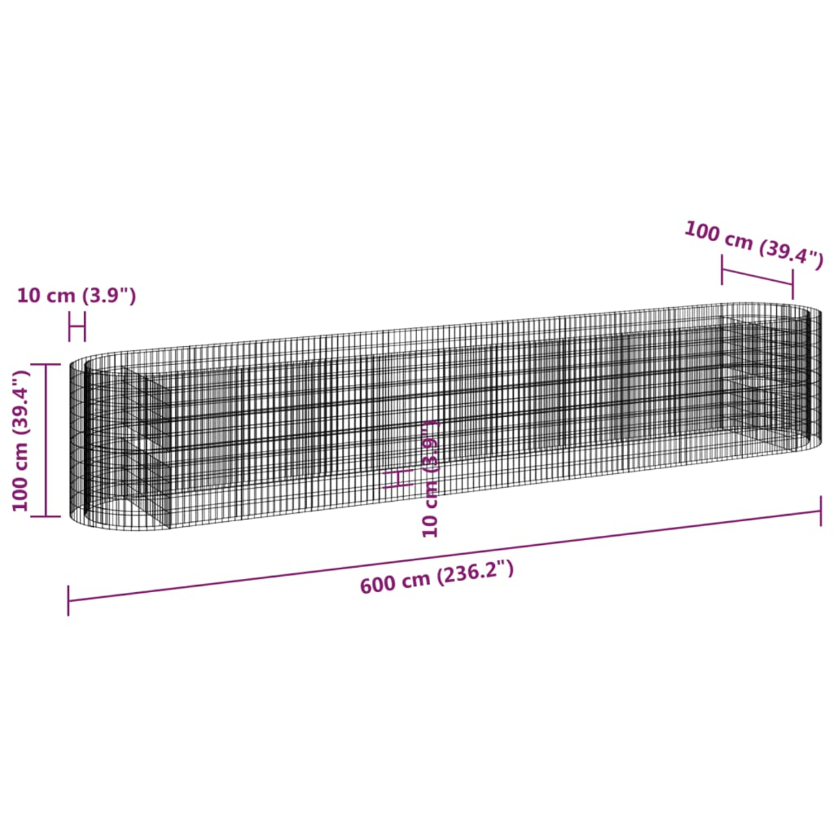 Eine Drahtrahmen-Rechteckstruktur mit den angegebenen Abmessungen: 600 cm lang, 100 cm hoch und 10 cm breit. Auf weißem Hintergrund.