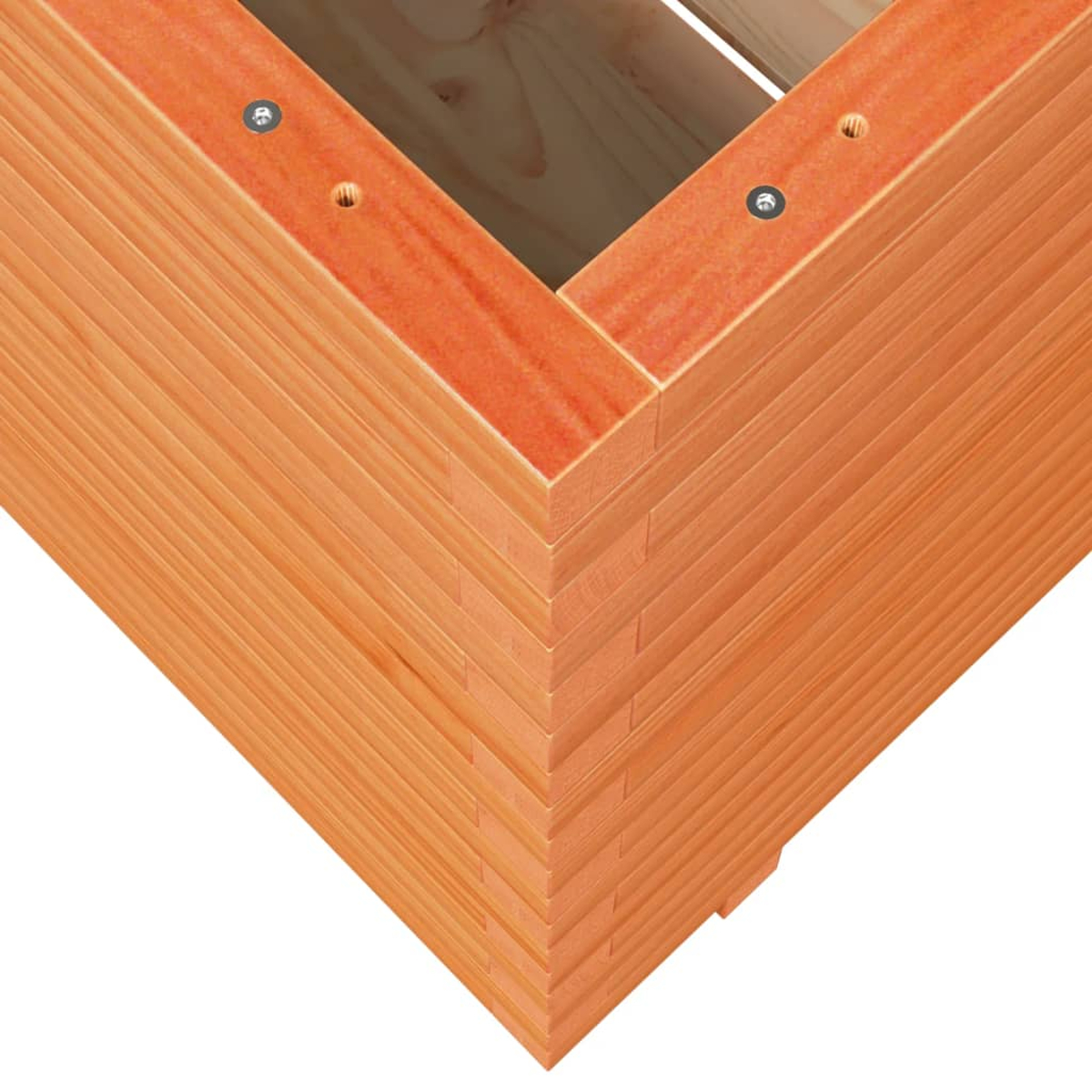 Nahaufnahme einer Ecke einer Holzkonstruktion. Das Holz ist orange-braun, mit sichtbarer Maserung. Schrauben sichern den Rahmen. Der Hintergrund ist weiß.