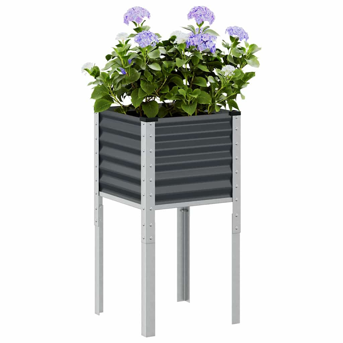 Un'aiuola rialzata con ortensie viola e bianche. È una fioriera in metallo ondulato grigio scuro con gambe argentate.
