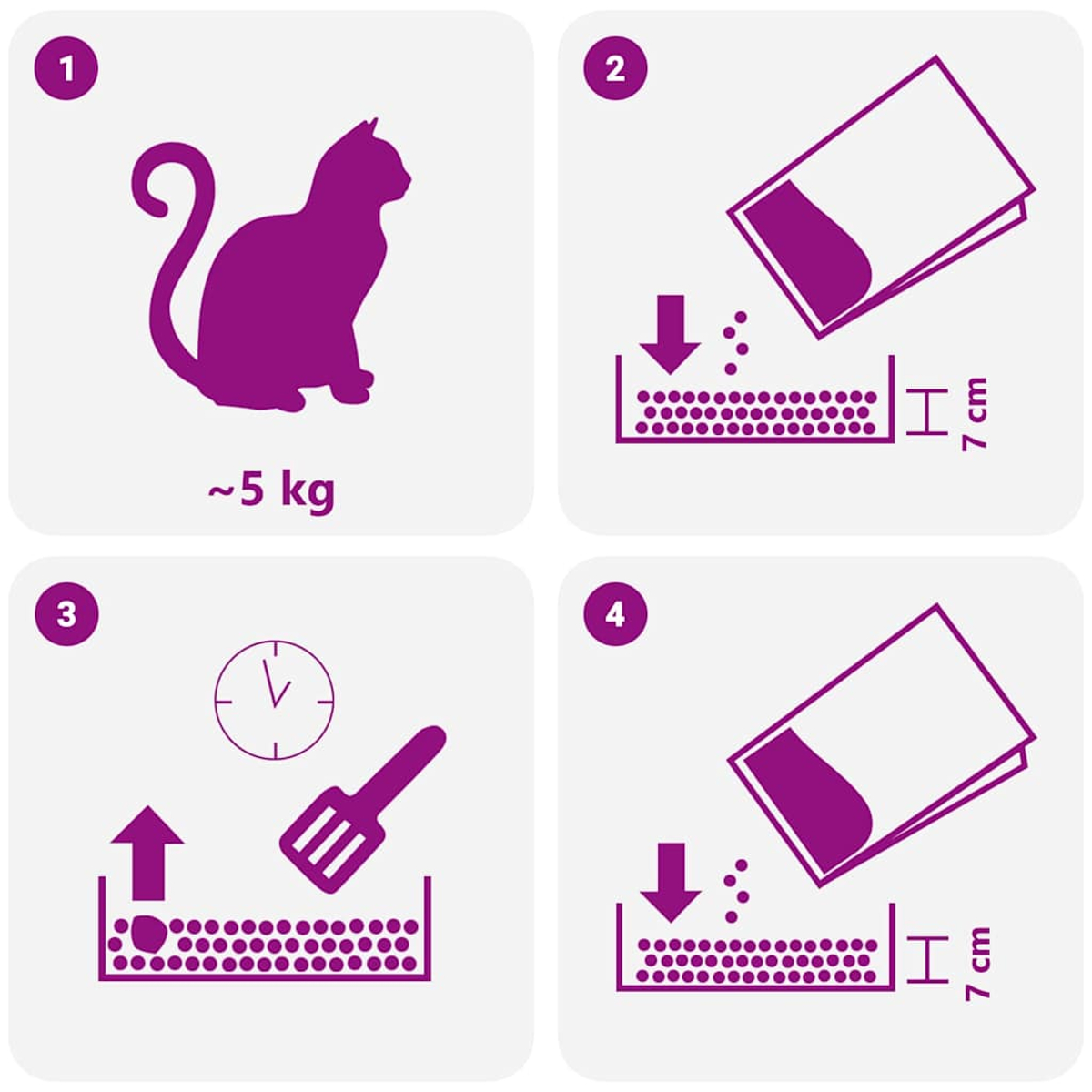 Una sagoma di gatto viola, un pacchetto che versa granuli in un contenitore, un orologio e un raschietto sono mostrati in quattro fasi.
