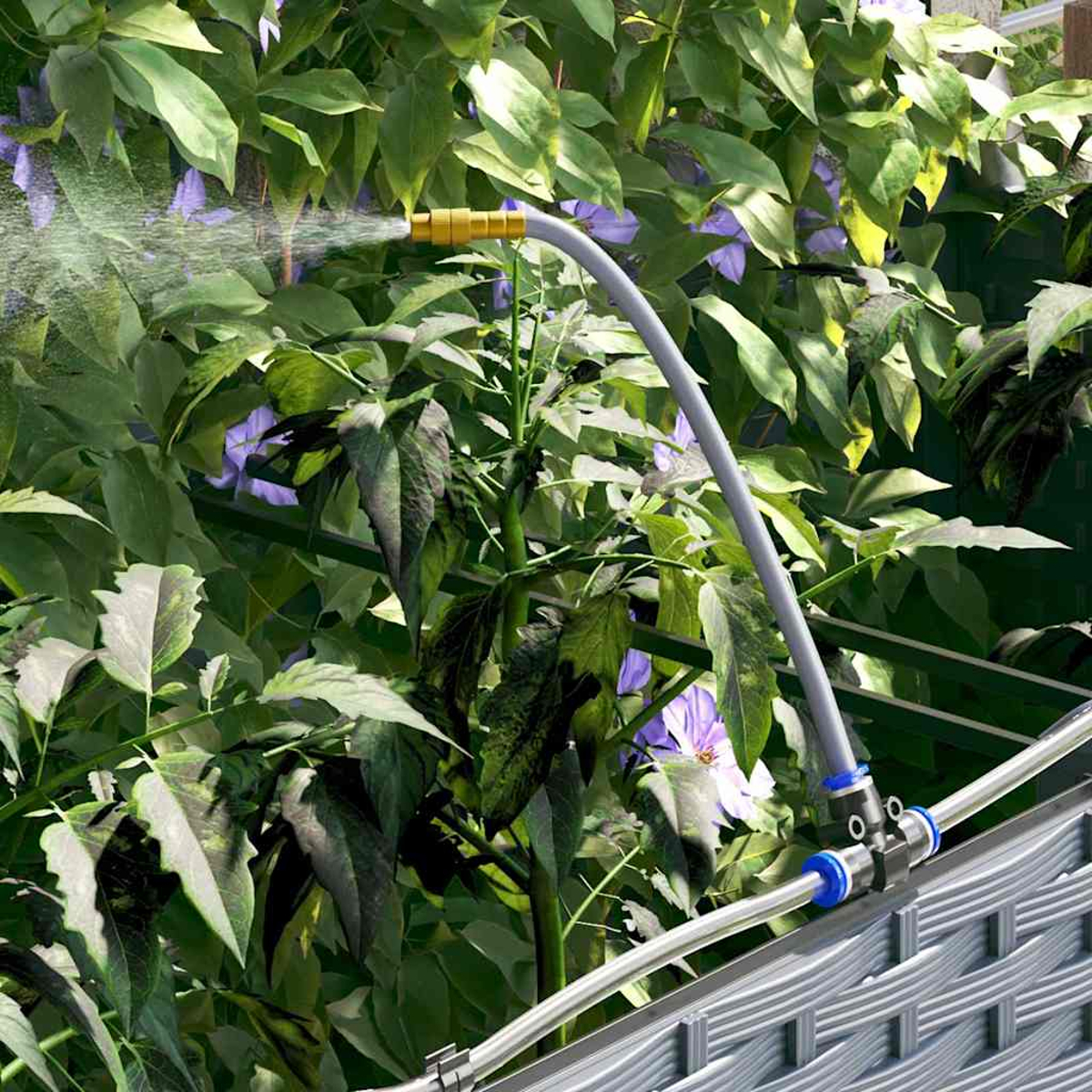 Un tubo lancia acqua su piante verdi con fiori viola. Un telaio metallico e una recinzione sono sullo sfondo.