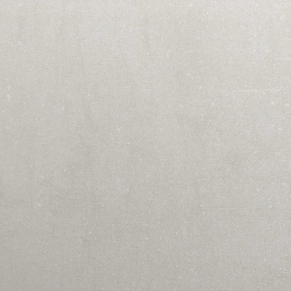 Primo piano di una superficie grigia chiara e strutturata. Sottili variazioni di tono e piccole macchie chiare sono visibili.