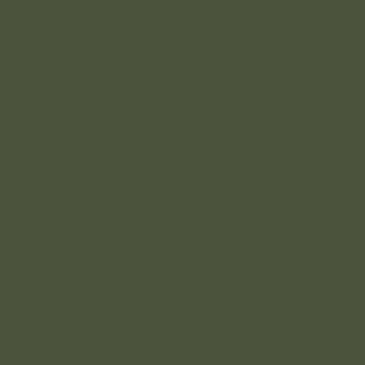 Sfondo verde oliva pieno. Linee verde scuro visibili in basso, formano un motivo.