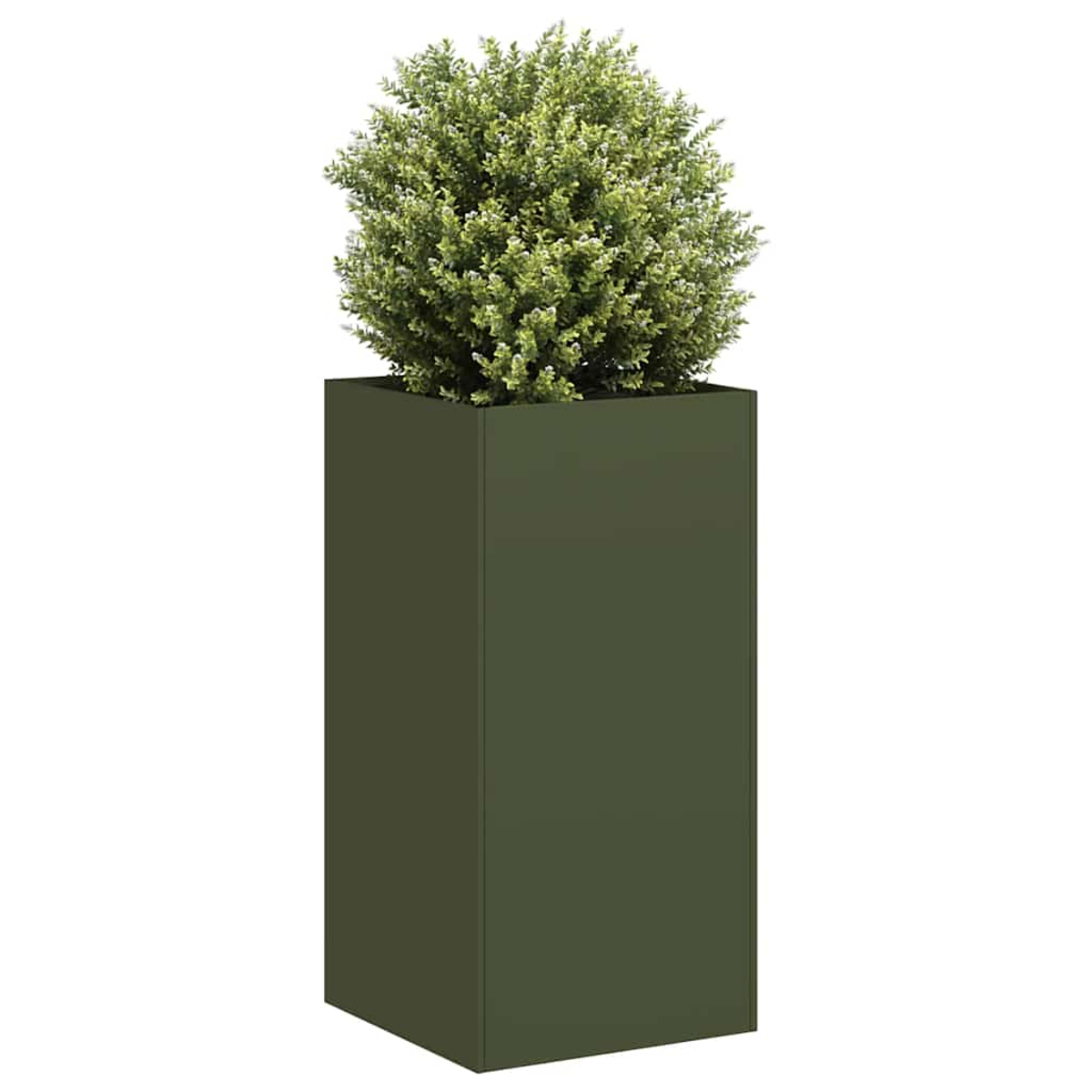 Un'alta fioriera verde scuro contiene una pianta rotonda e verde. La fioriera è rettangolare e la pianta è cespugliosa.