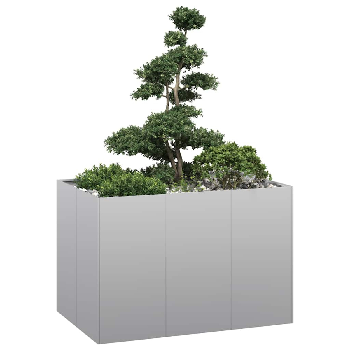 Una fioriera rettangolare grigia contiene un piccolo albero con fogliame verde e altre piccole piante e pietre bianche.