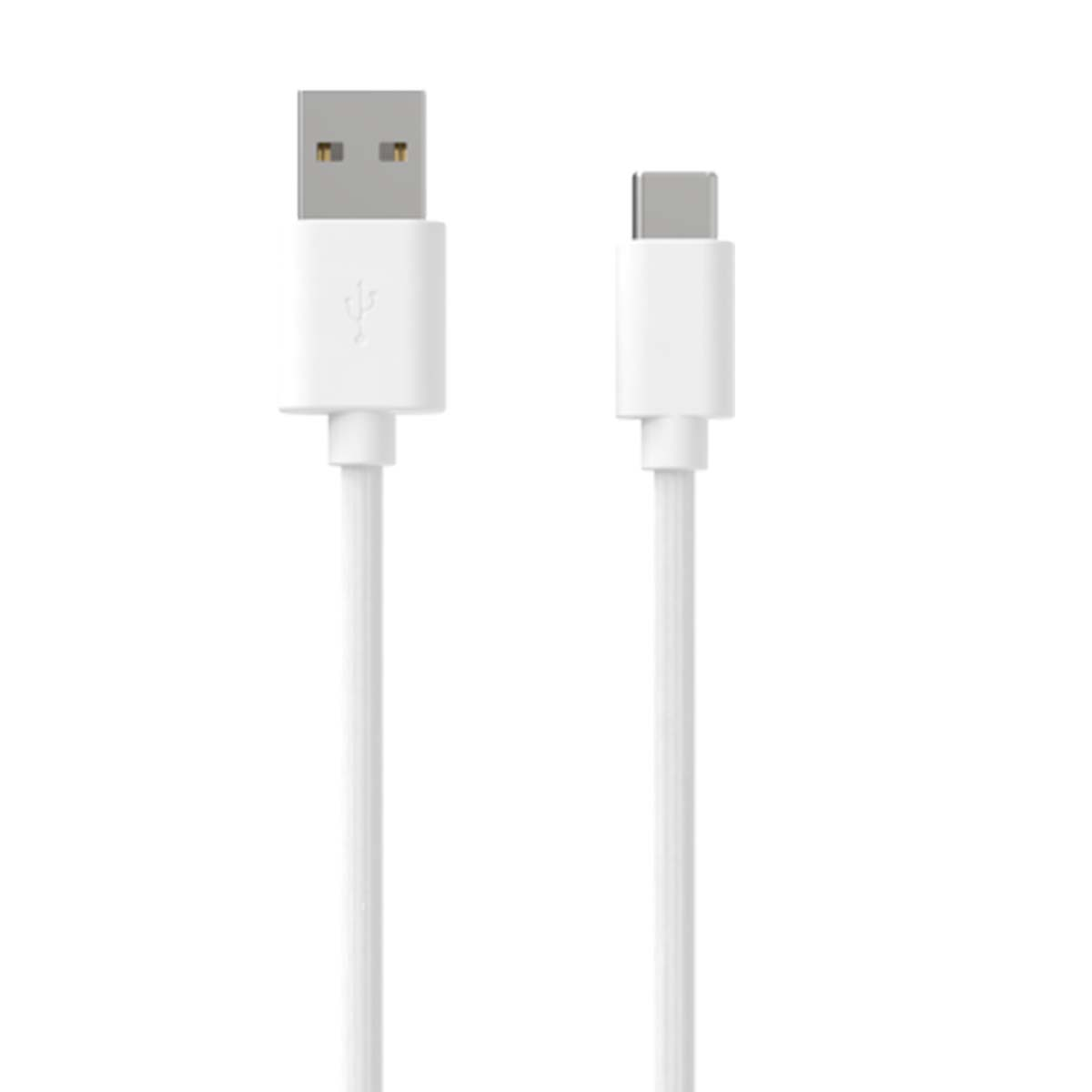 Due cavi USB bianchi, uno USB-A e uno USB-C, su sfondo bianco.