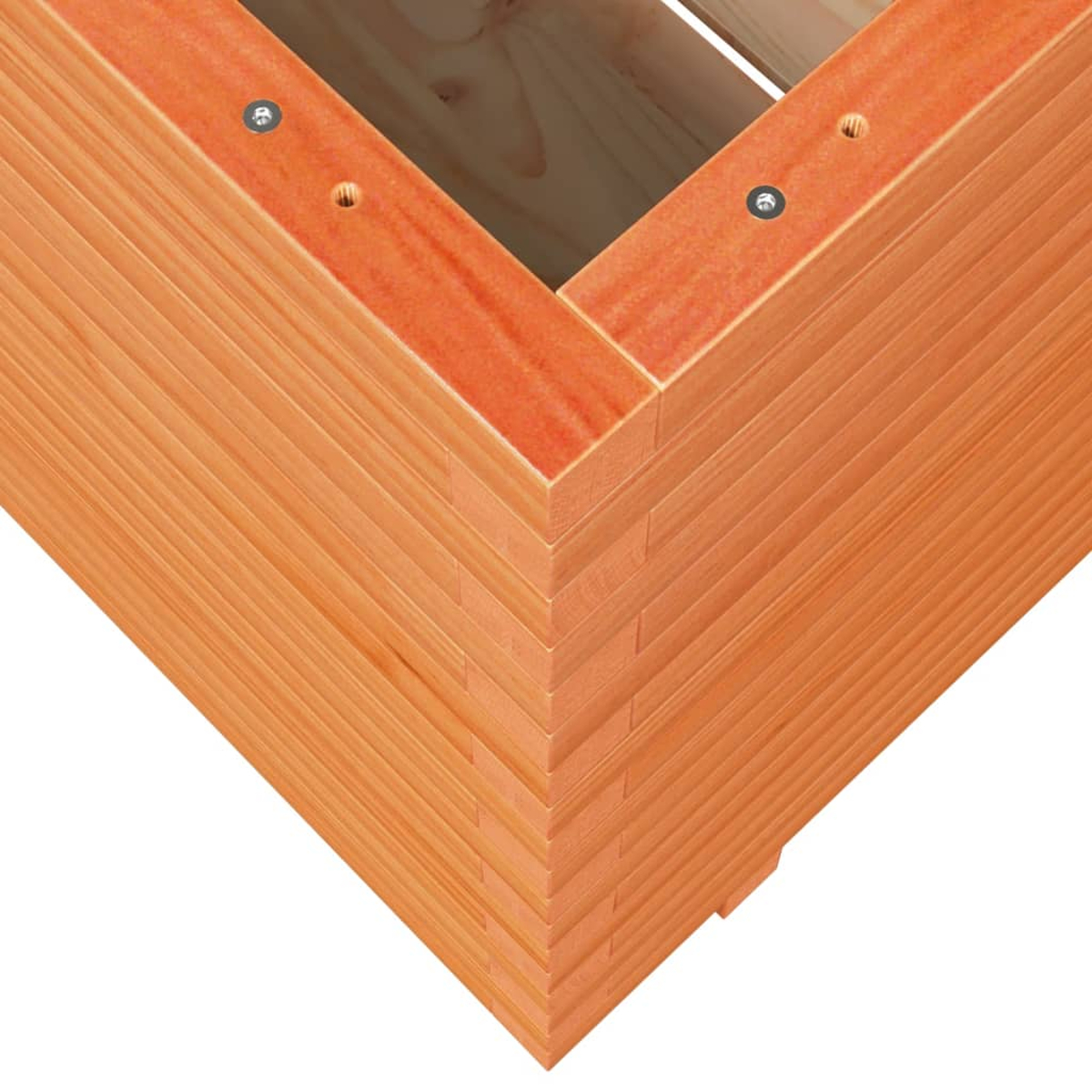 Nahaufnahme einer Holzkontur. Hellbraune Holzbretter gestapelt. Schrauben sichtbar. Innenraum helleres Holz. Weißer Hintergrund.