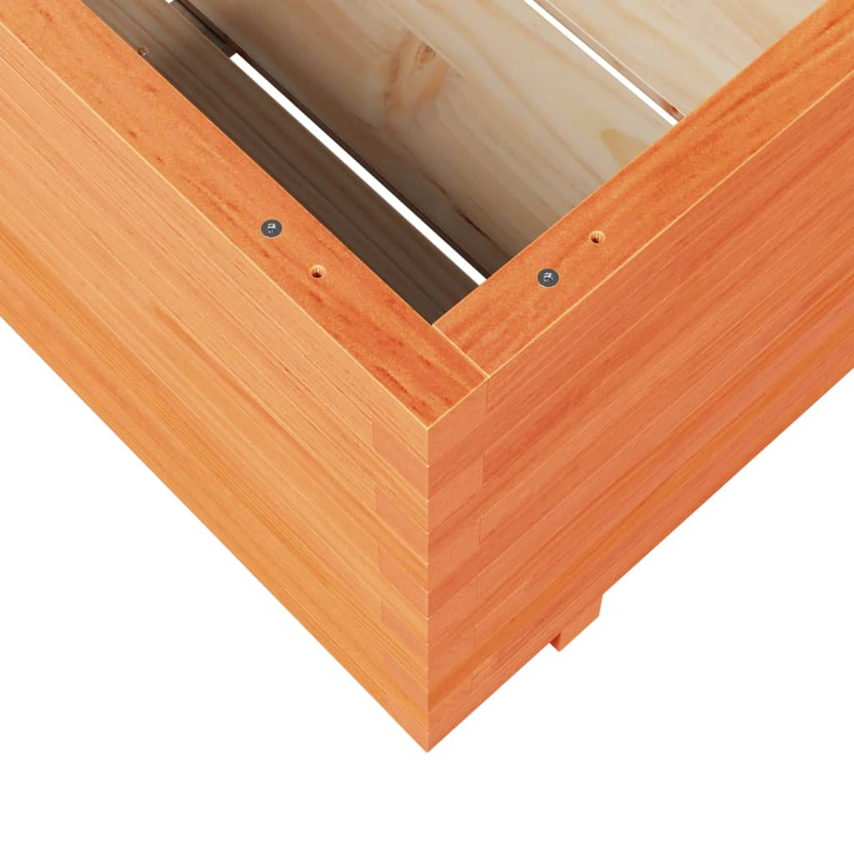 Nahaufnahme einer Ecke einer Holzpflanzkiste. Die Ecke ist aus orangefarbenem Holz mit sichtbarer Maserung und Schrauben. Im Inneren sind helle Holzlatten zu sehen.