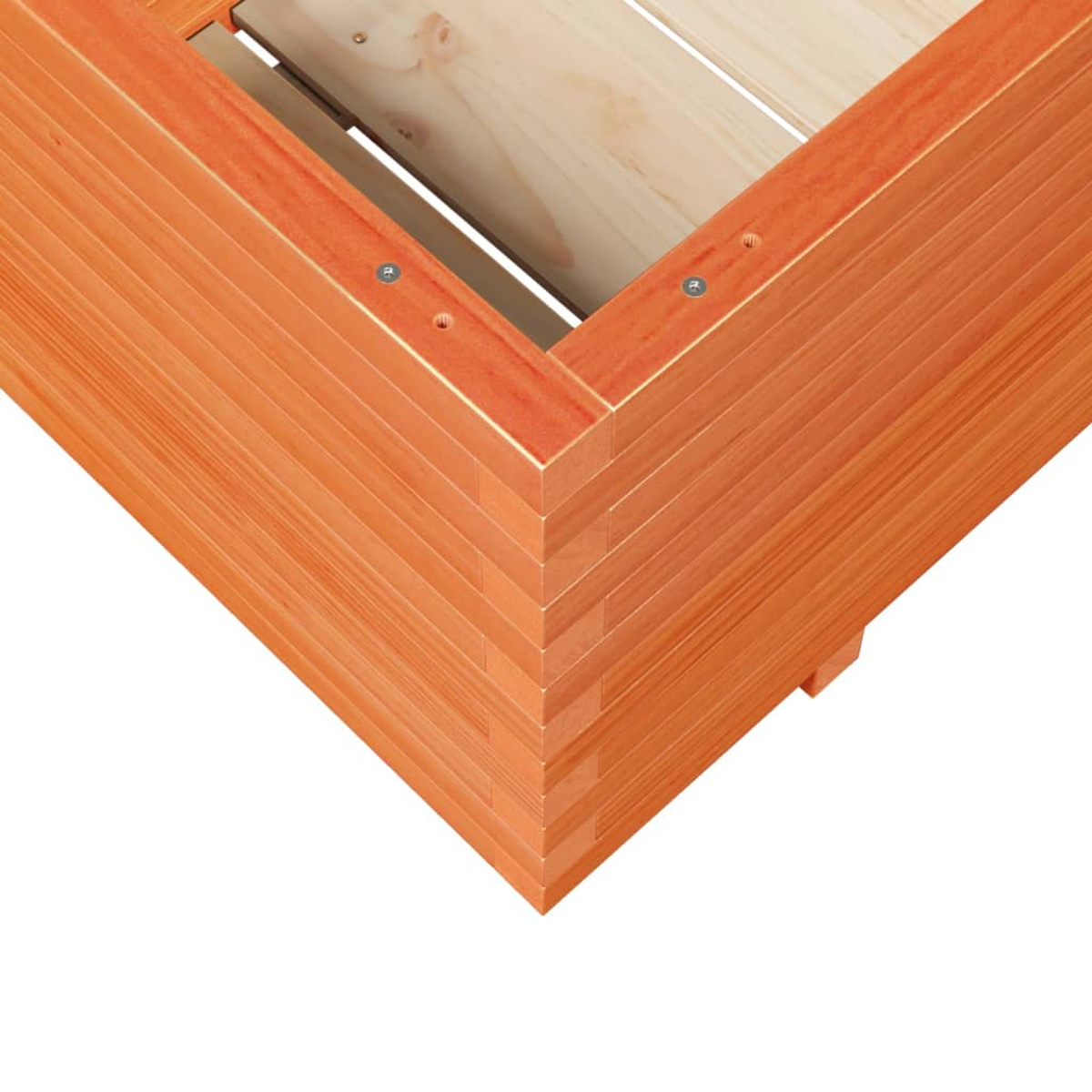Eine Holzecke einer Struktur, möglicherweise ein Hochbeet. Das Holz ist orangebraun, mit sichtbarer Maserung und Schrauben.