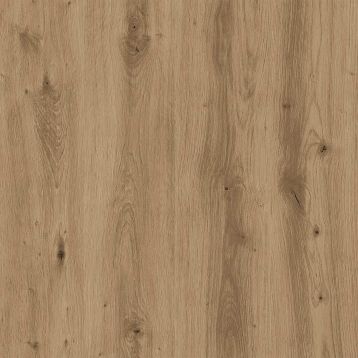Nahaufnahme von hellbraunem Holzmaser. Vertikales Holzmuster mit Knoten und Variationen in Farbe und Textur.
