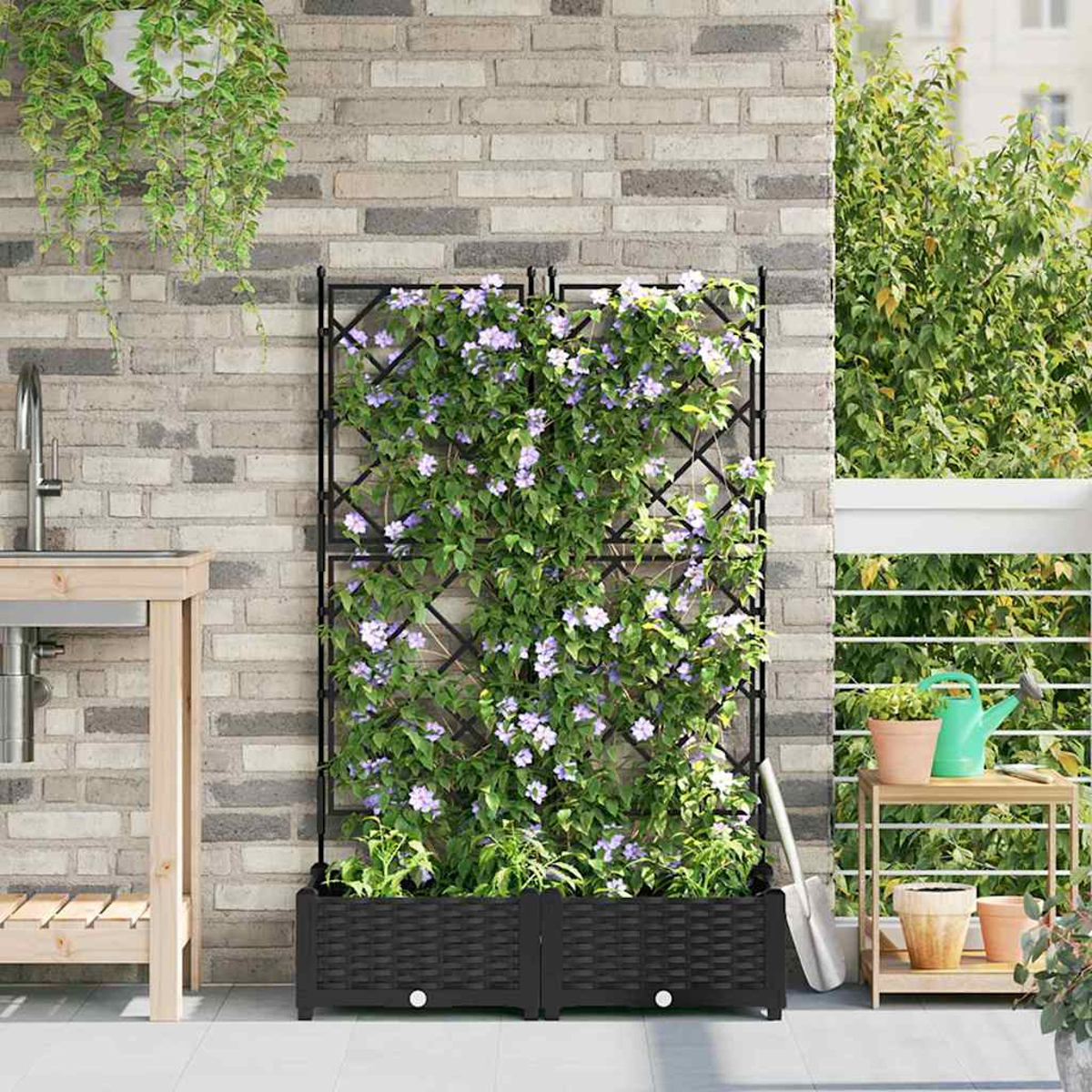 Un traliccio con piante rampicanti e fiori viola. È su un balcone con un muro di mattoni e un tavolino in legno con piante.