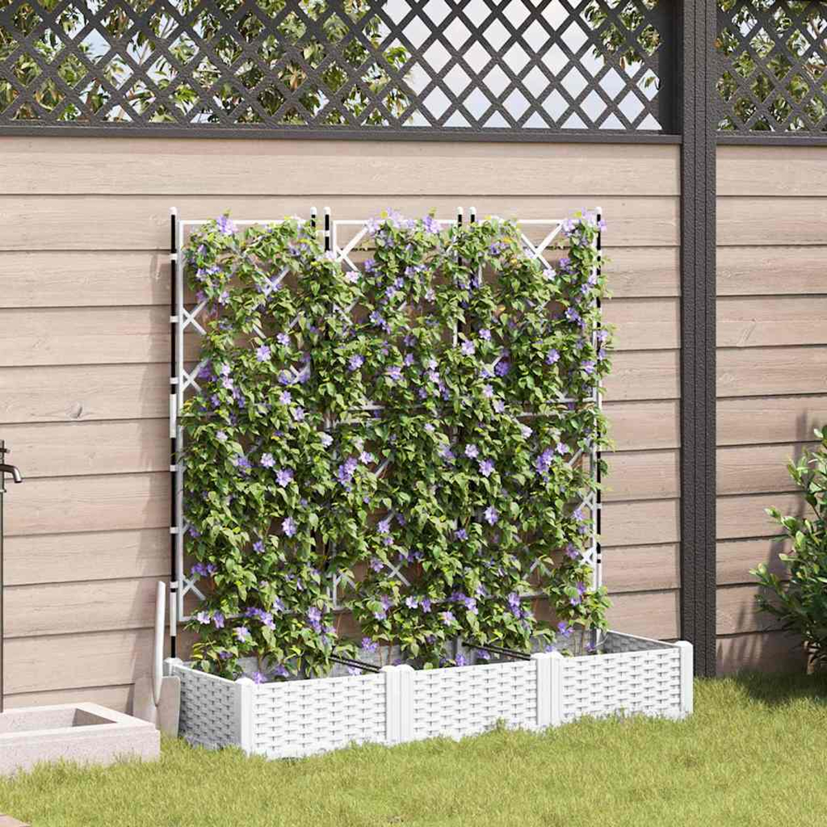 Traliccio bianco con piante rampicanti e fiori viola in un giardino. Recinzione in legno ed erba sullo sfondo. Fioriera bianca.