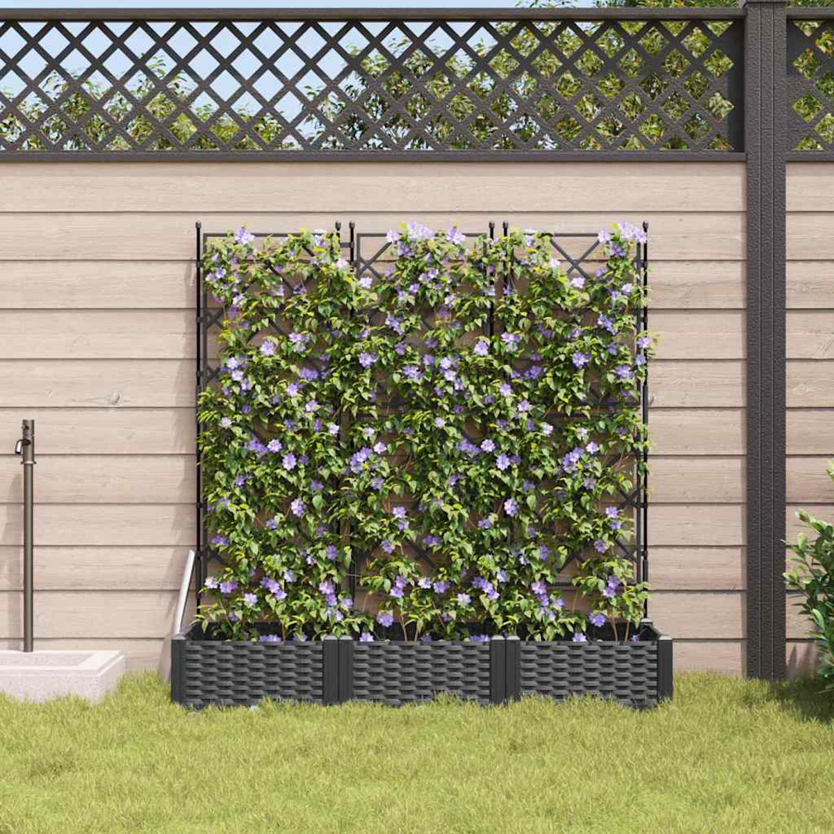 Un traliccio con piante rampicanti e fiori viola, posto di fronte a un muro di legno. Erba in primo piano.