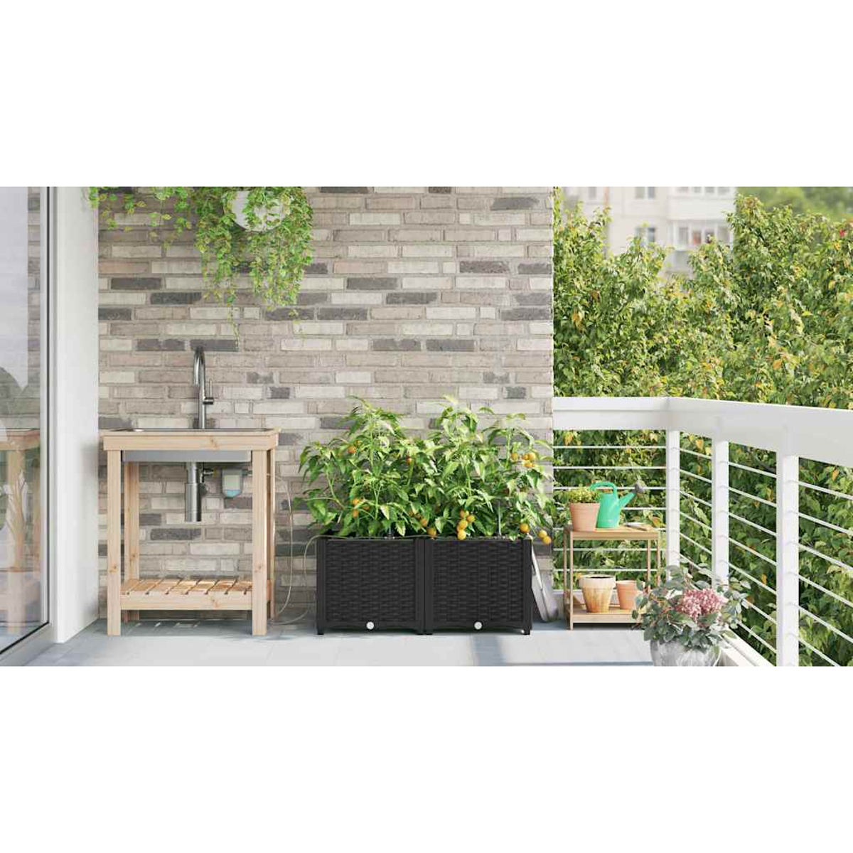 Scena di balcone con piante, un lavandino e un muro di mattoni. Piante di pomodoro in fioriere nere, e un ripiano con vasi e un annaffiatoio.