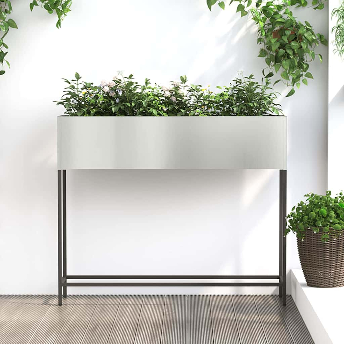 Una grande fioriera con piante verdi e piccoli fiori bianchi poggia su gambe in metallo nero. Altre piante sono sul muro bianco.