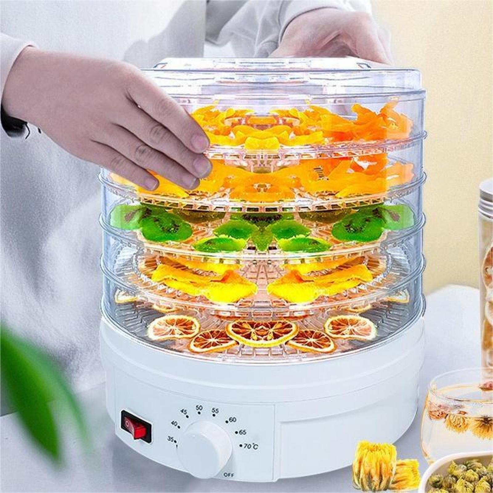 Hände über einem weißen Dörrautomat mit geschnittenen Früchten, darunter Orangen, Kiwi und Zitronen.