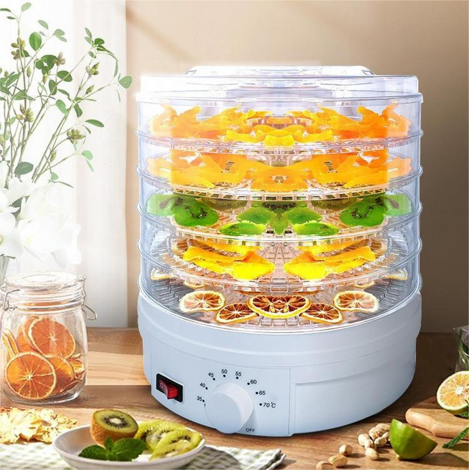 Ein Dörrautomat mit Schichten aus getrockneten Früchten. Orangen, Kiwi und Zitronen sind mit weißer Basis und Zifferblatt sichtbar.