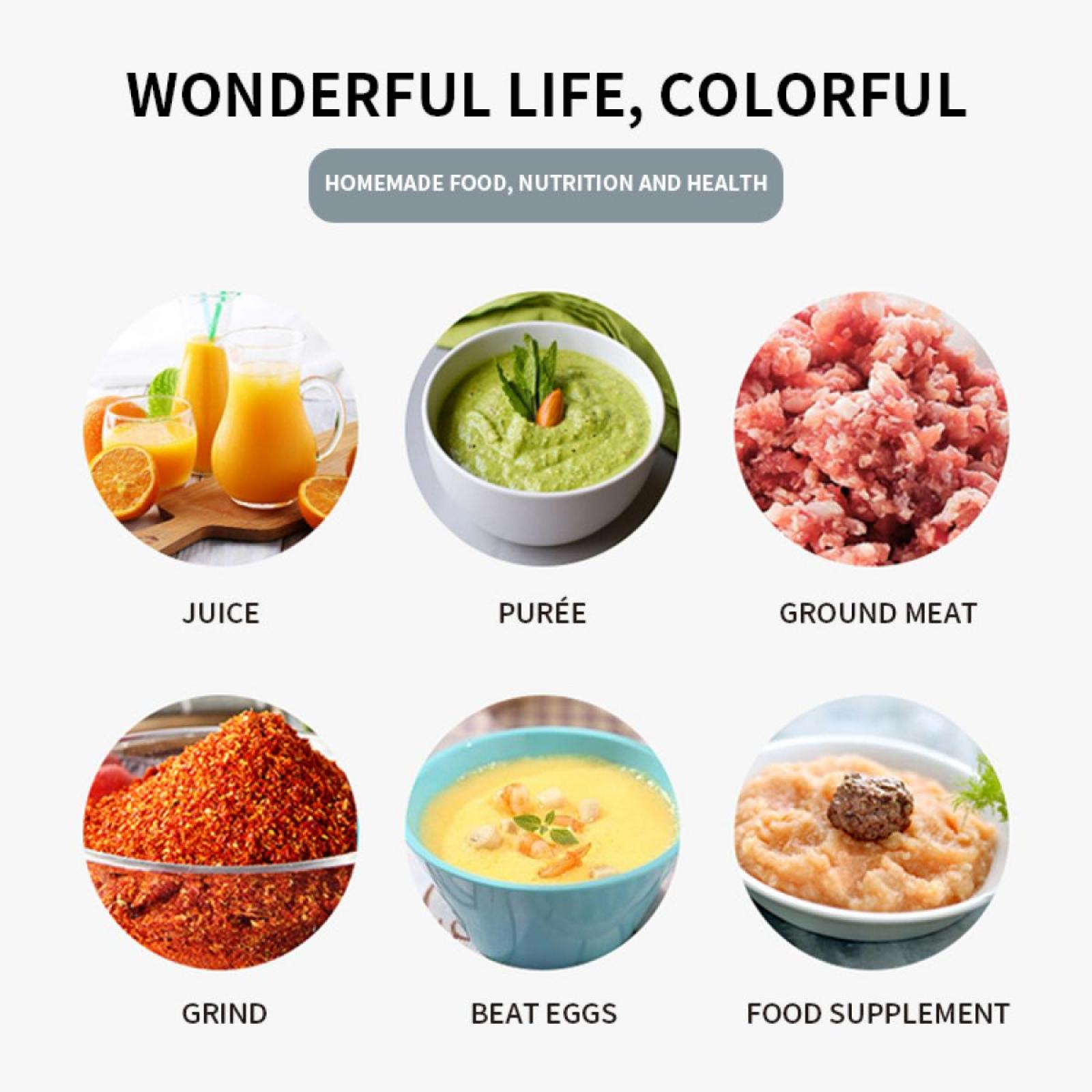 Das Bild zeigt Saft, Püree, Hackfleisch, Mahlgut, geschlagene Eier und Nahrungsergänzungsmittel. Jedes in einem Kreis, mit Etiketten darunter.