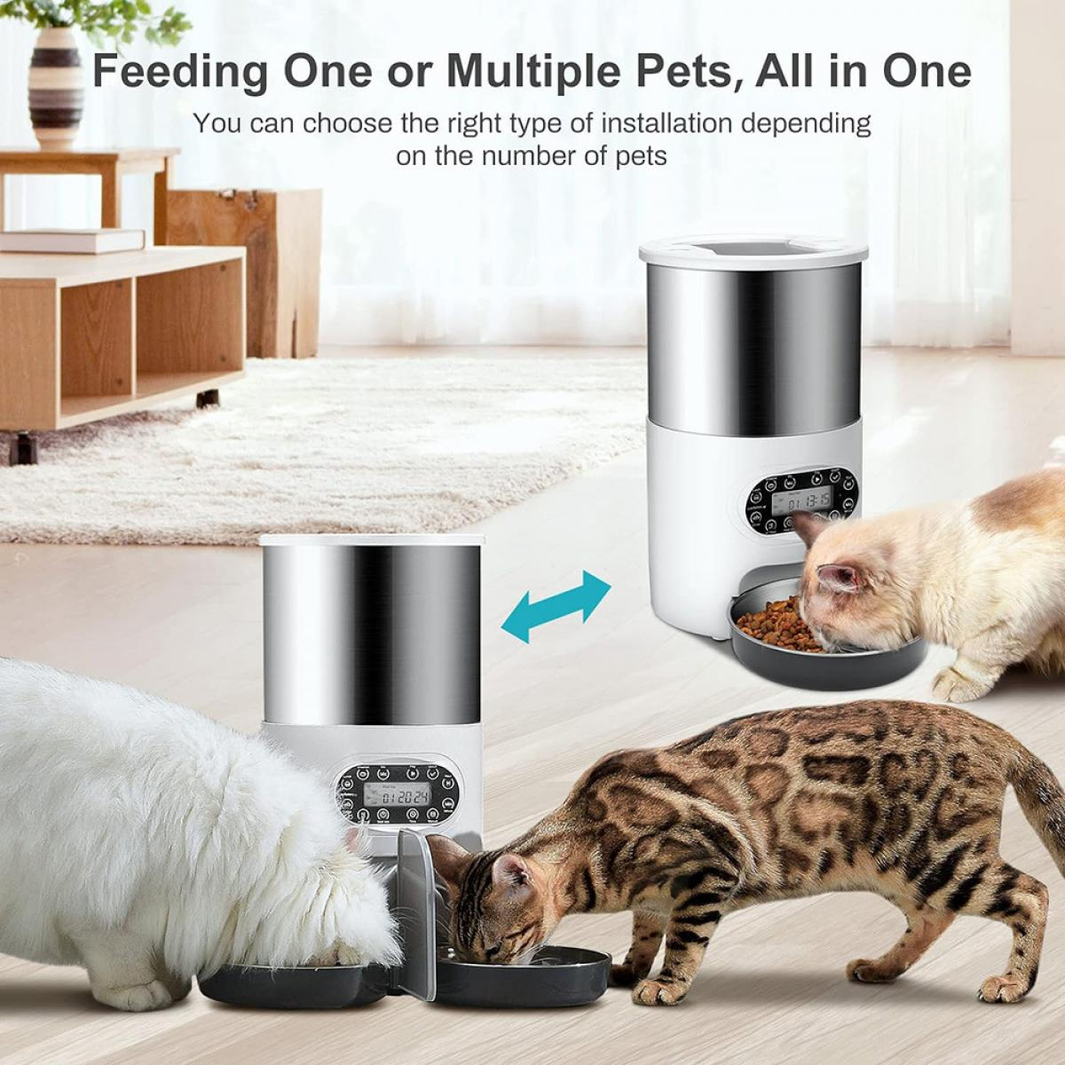 Zwei automatische Futternäpfe, an denen Katzen fressen. Eine weiße und eine gefleckte Katze essen aus Schalen.