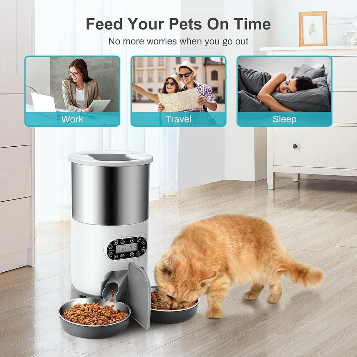 Eine orange Katze frisst aus einer Schüssel. Ein automatischer Futterautomat gibt Futter aus. Drei kleine Bilder zeigen Arbeit, Reise und Schlaf.