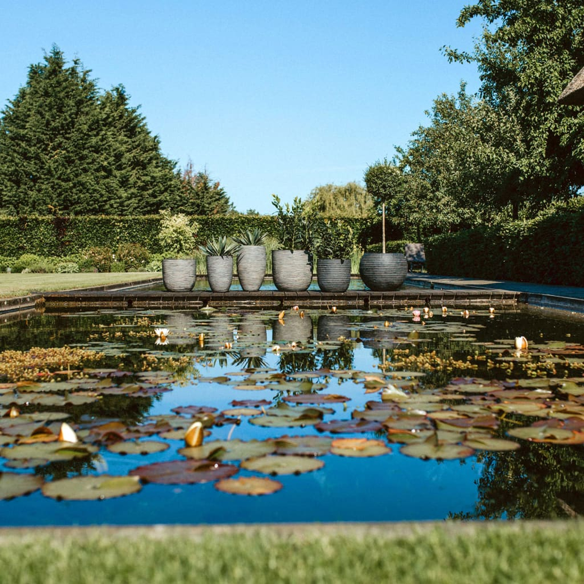 Eine ruhige Gartenszene mit einem Wasserspiel. Seerosen schwimmen auf dem Wasser, mit Topfpflanzen im Hintergrund unter blauem Himmel.